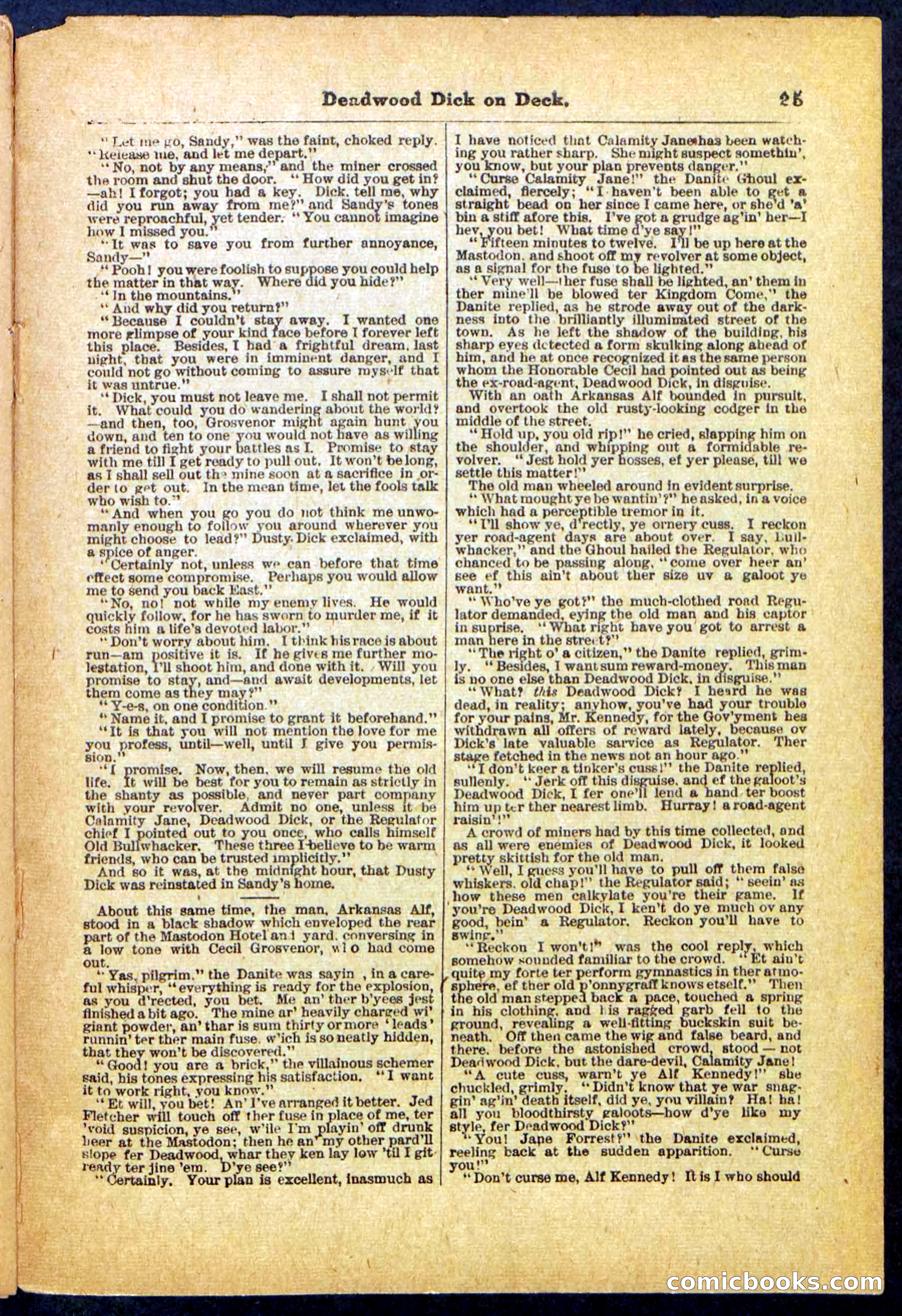 Beadle's Pocket Library, No. 57 — page 25 of 32