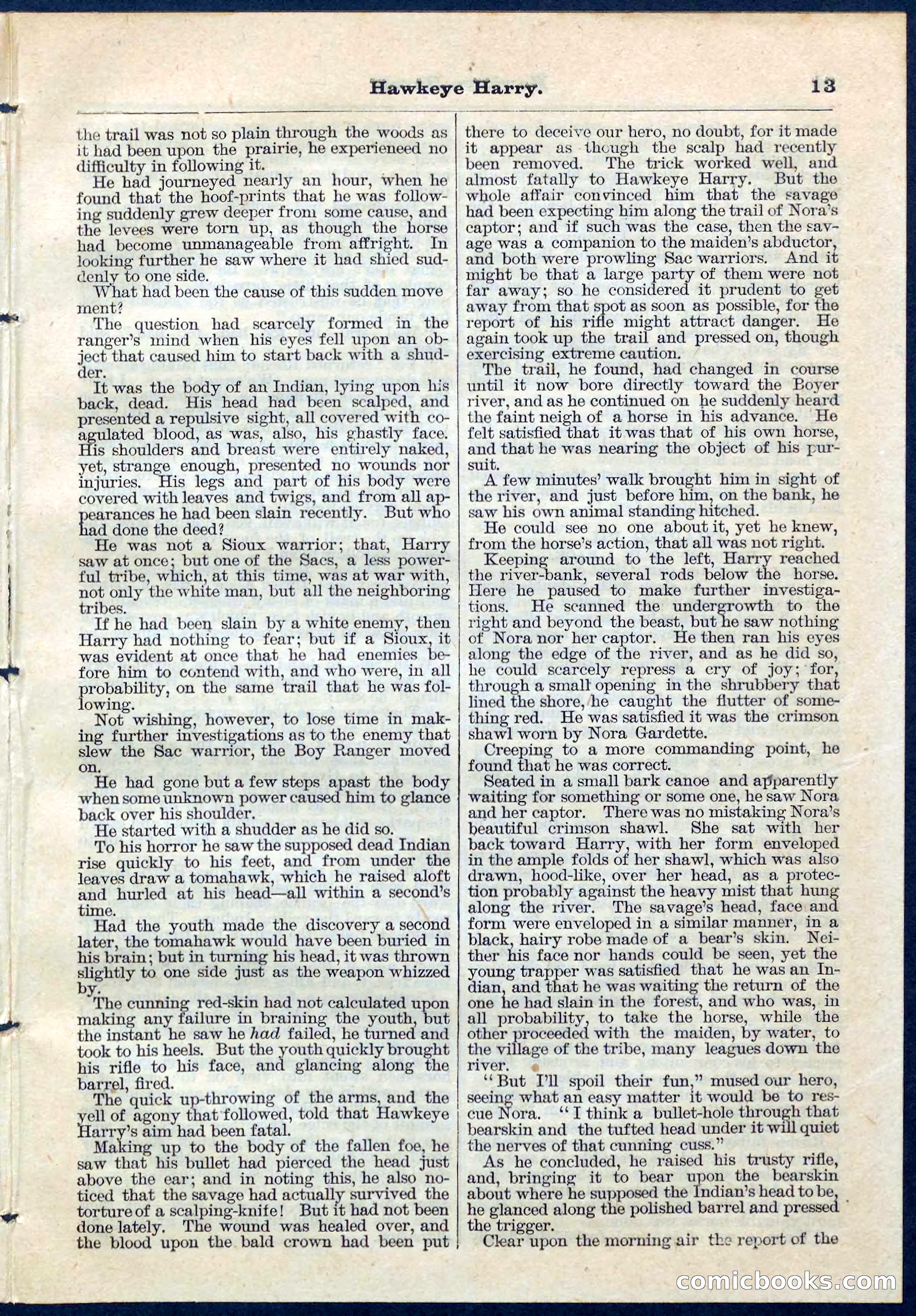 Beadle's Pocket Library No. 53 — page 13 of 32