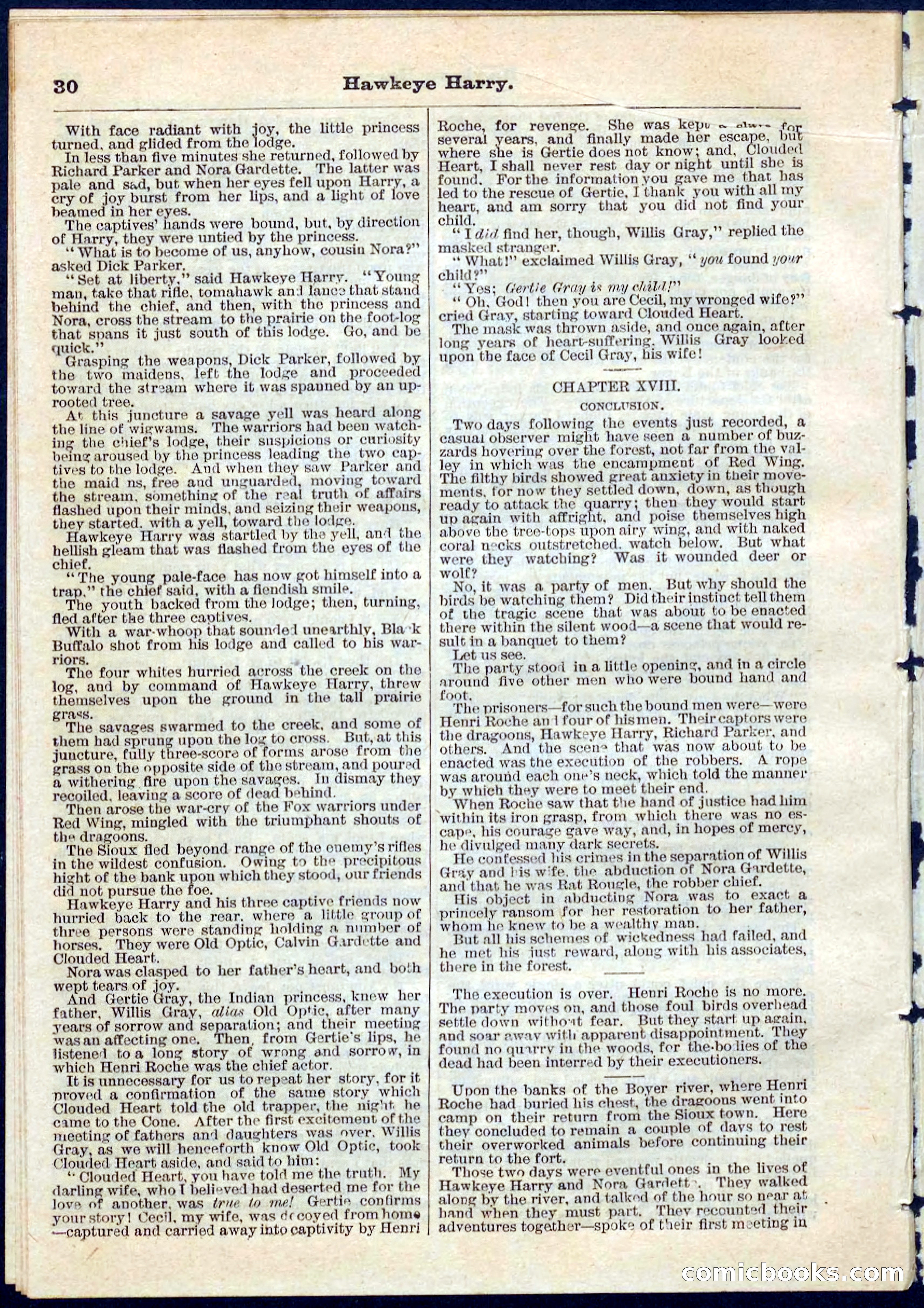 Beadle's Pocket Library No. 53 — page 30 of 32