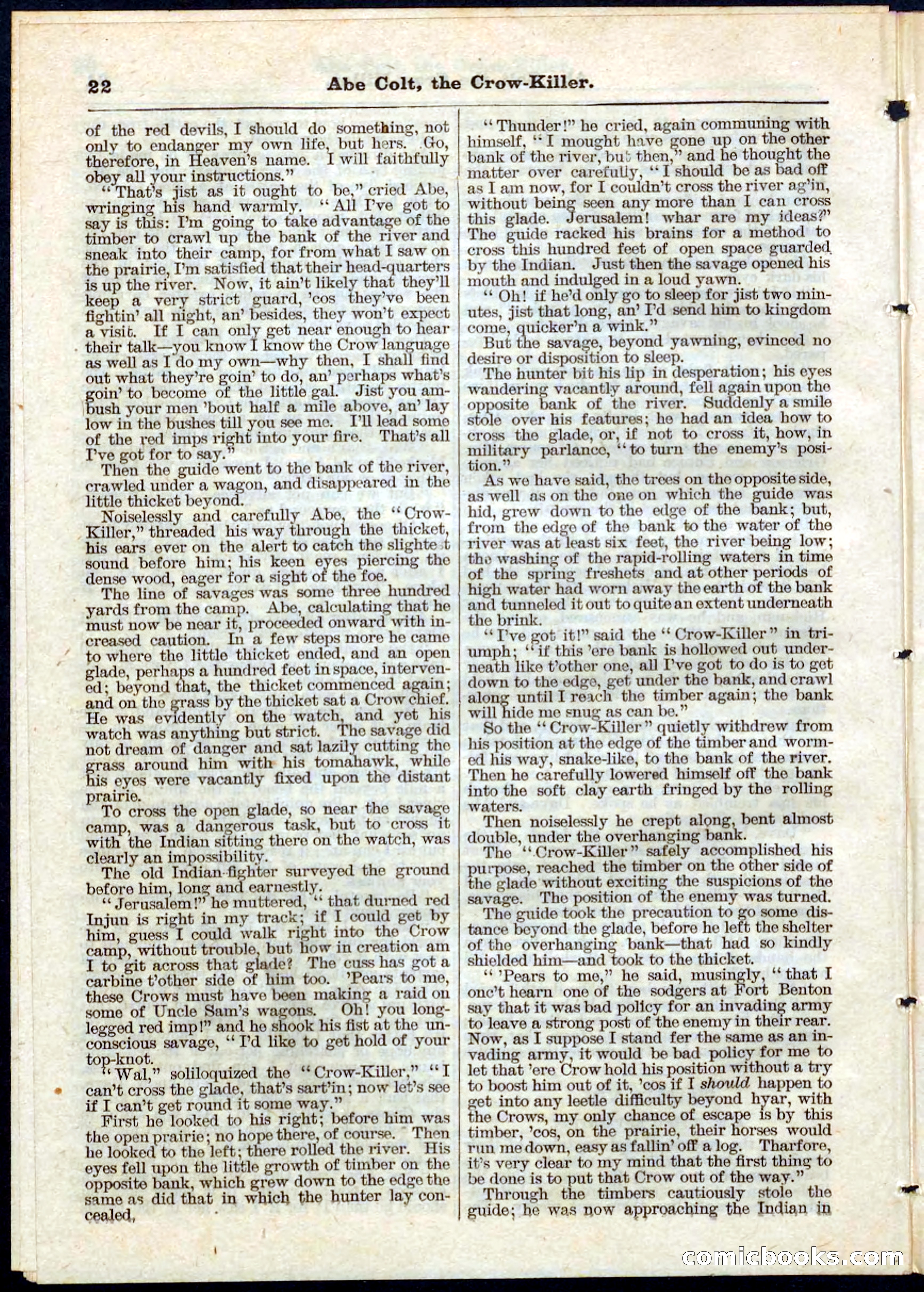 Beadle's Pocket Library No. 60 — page 22 of 32