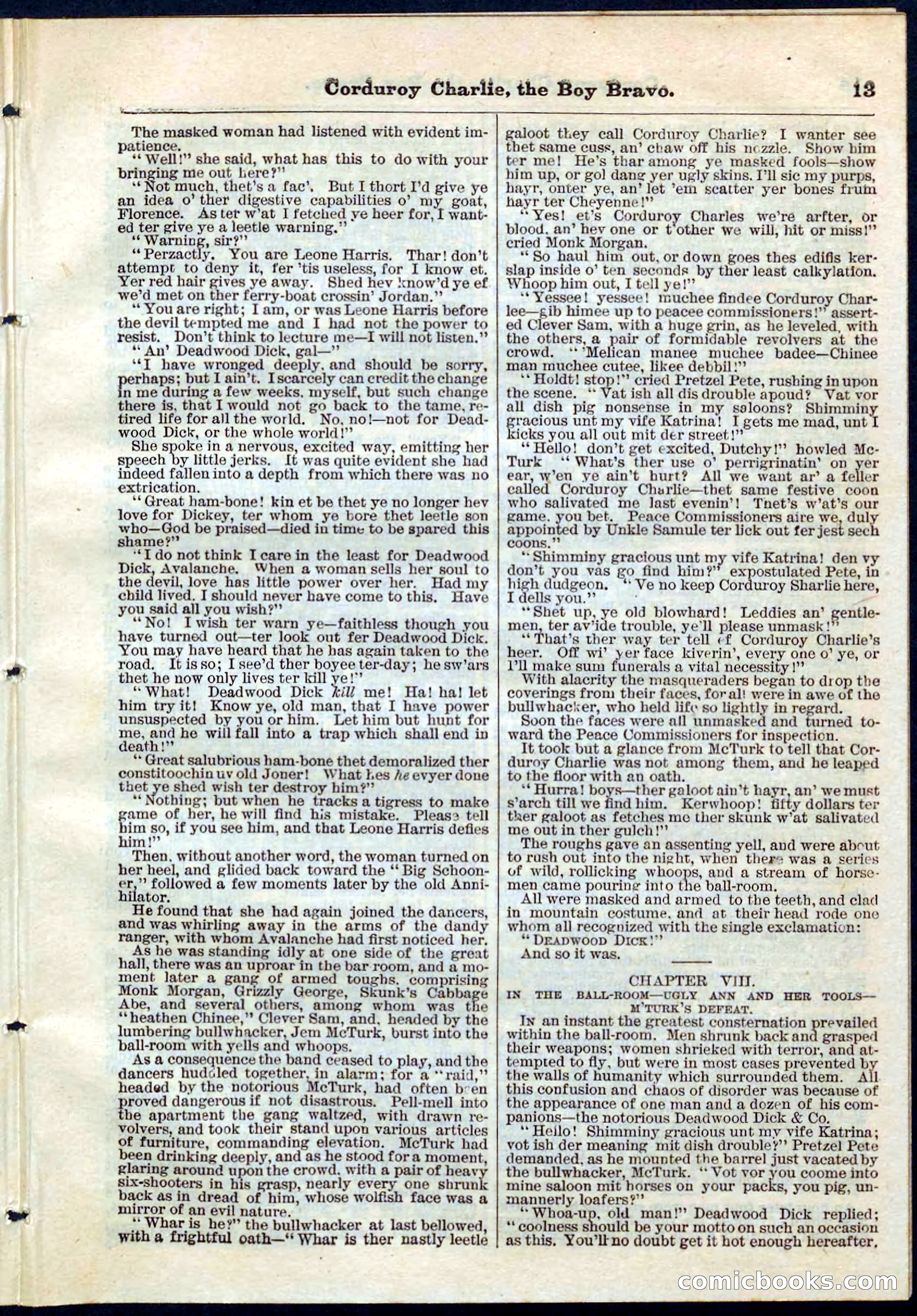 Beadle's Pocket Library No. 61 — page 13 of 32