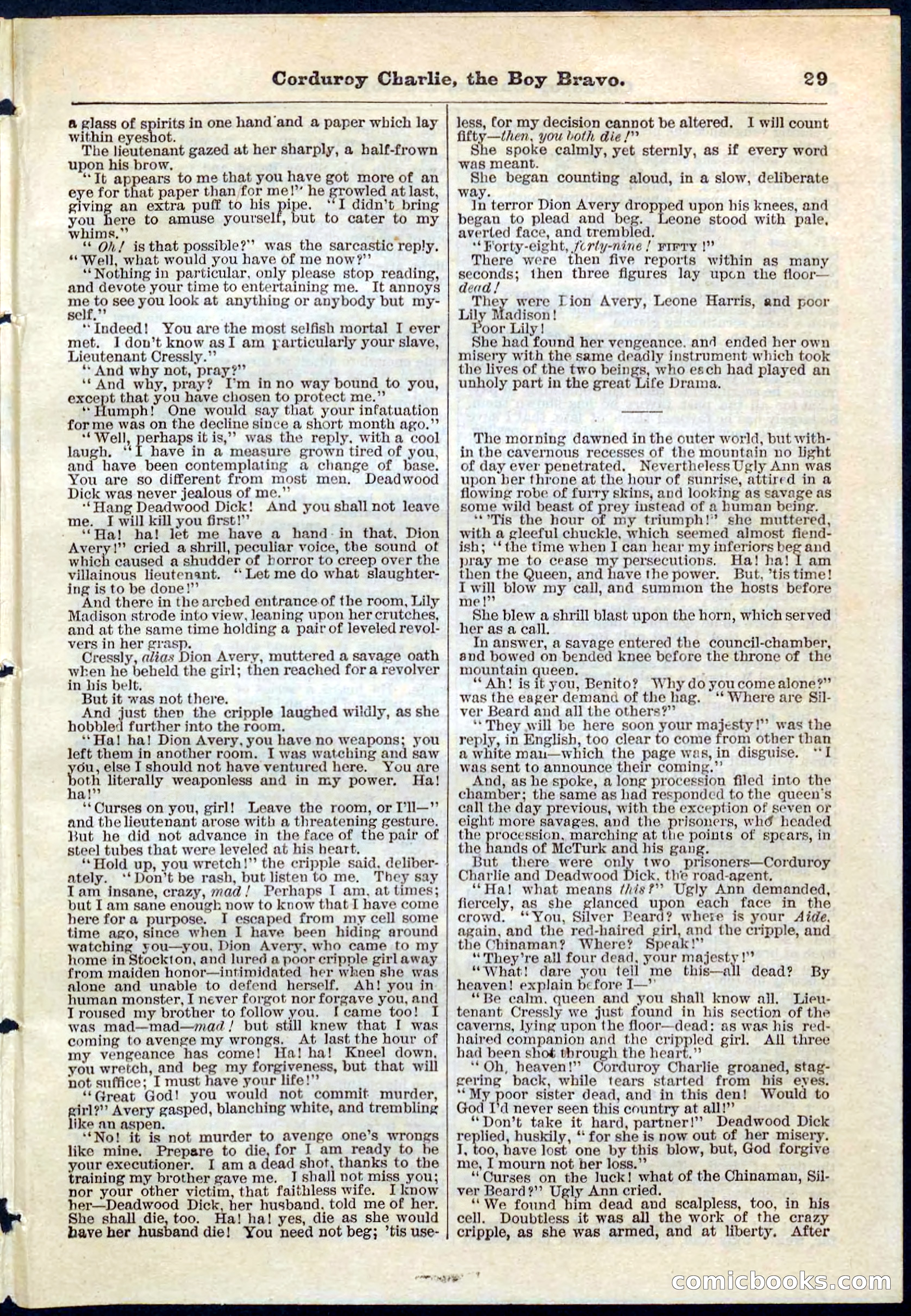 Beadle's Pocket Library No. 61 — page 29 of 32