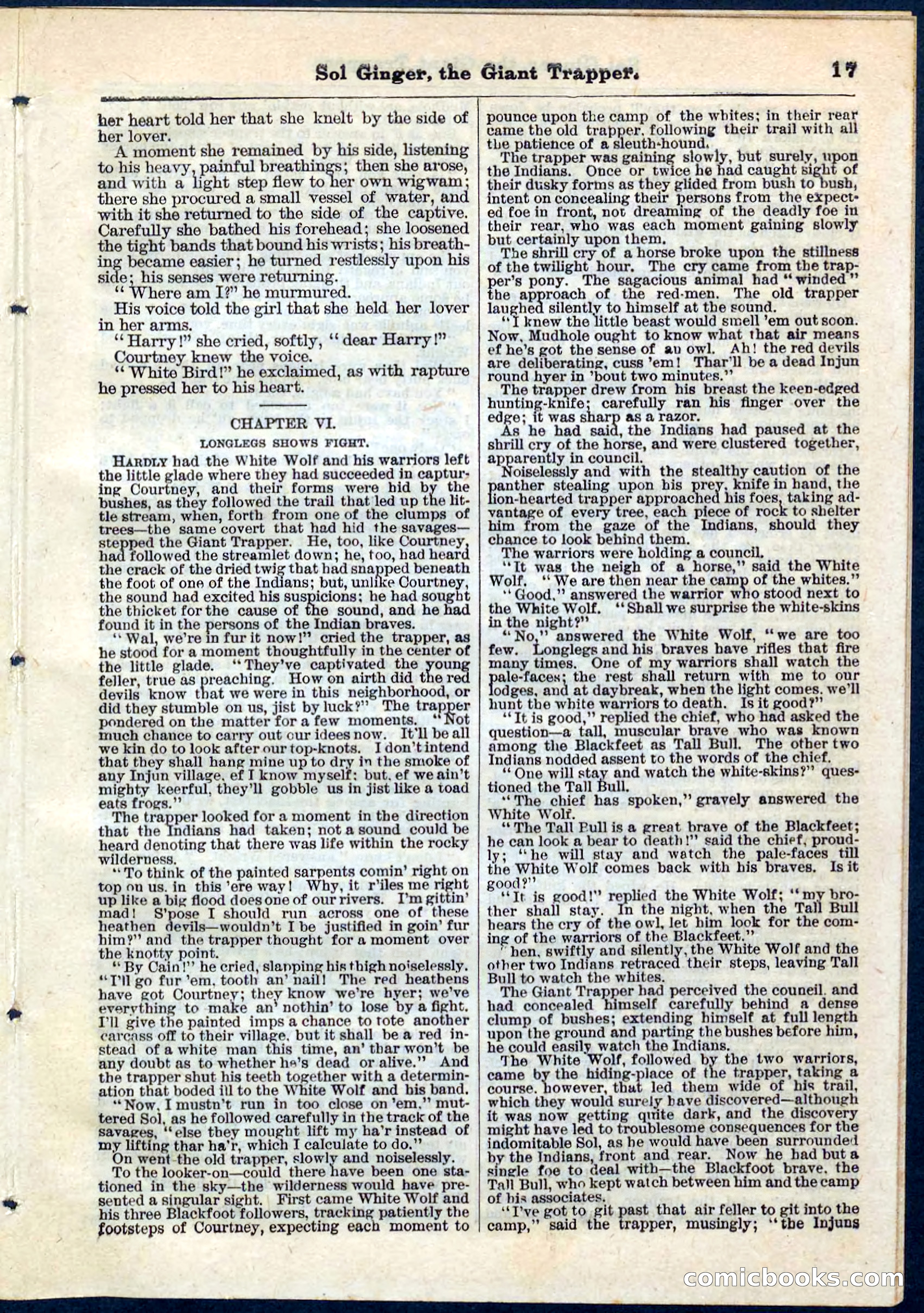 Beadle's Pocket Library, No. 63 — page 17 of 32