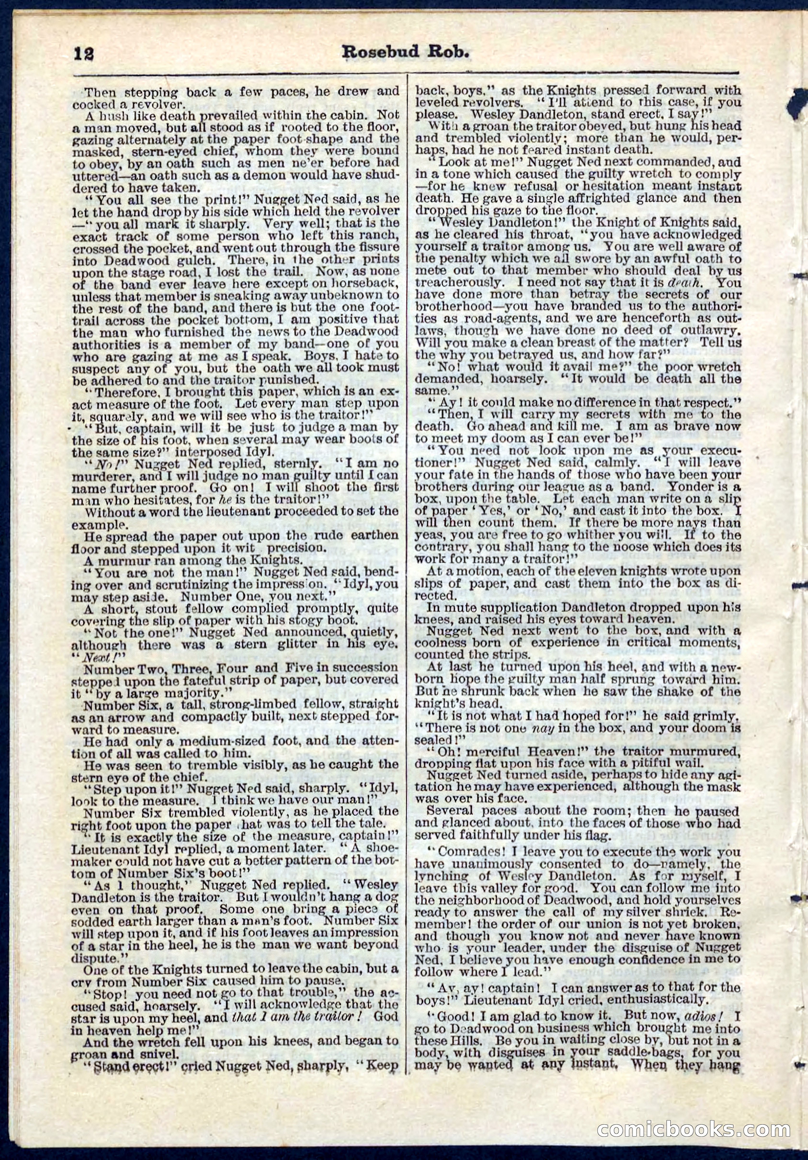 Beadle's Pocket Library, No. 64 — page 12 of 32
