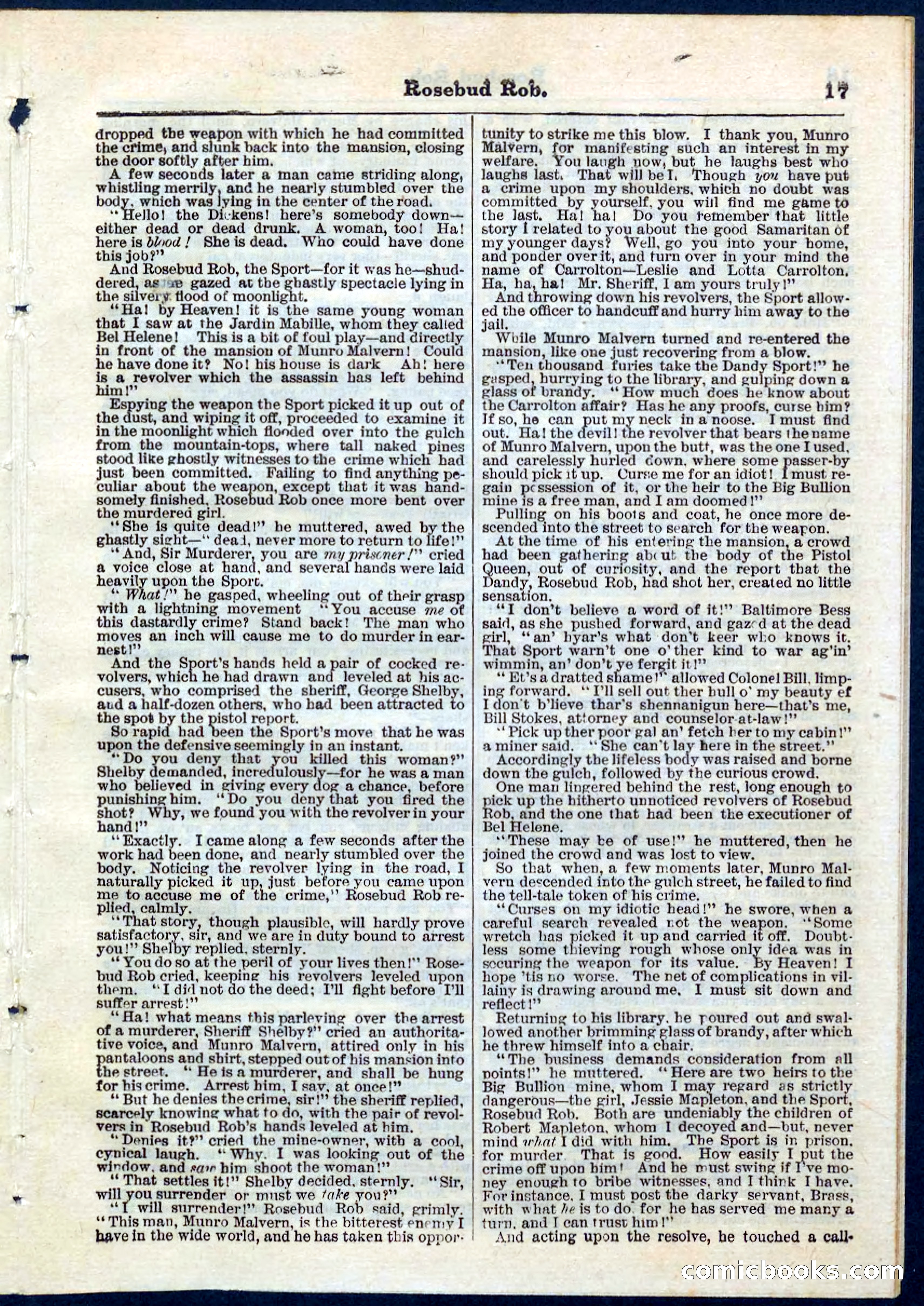 Beadle's Pocket Library, No. 64 — page 17 of 32