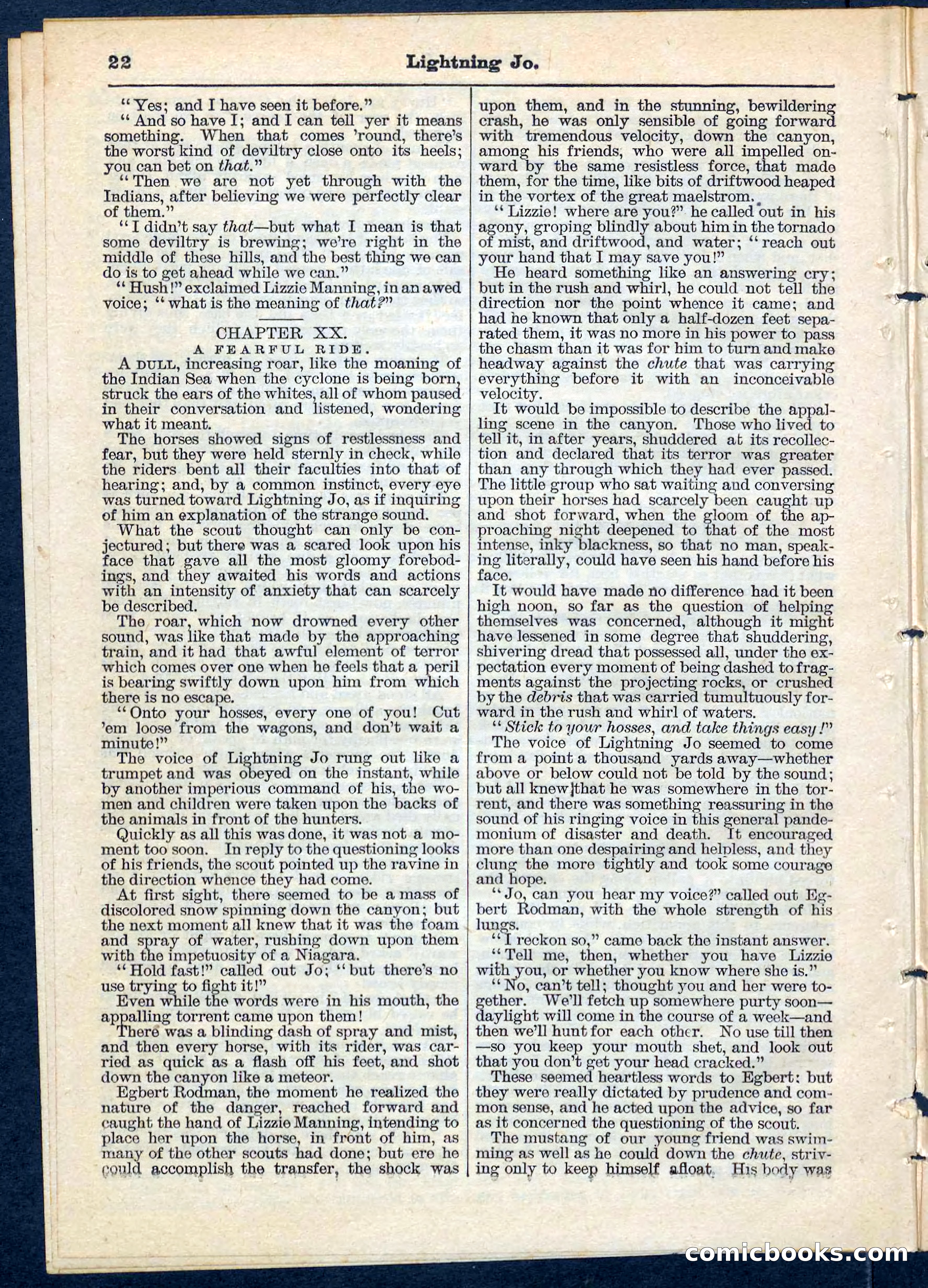 Beadle's Pocket Library No. 65 — page 22 of 32