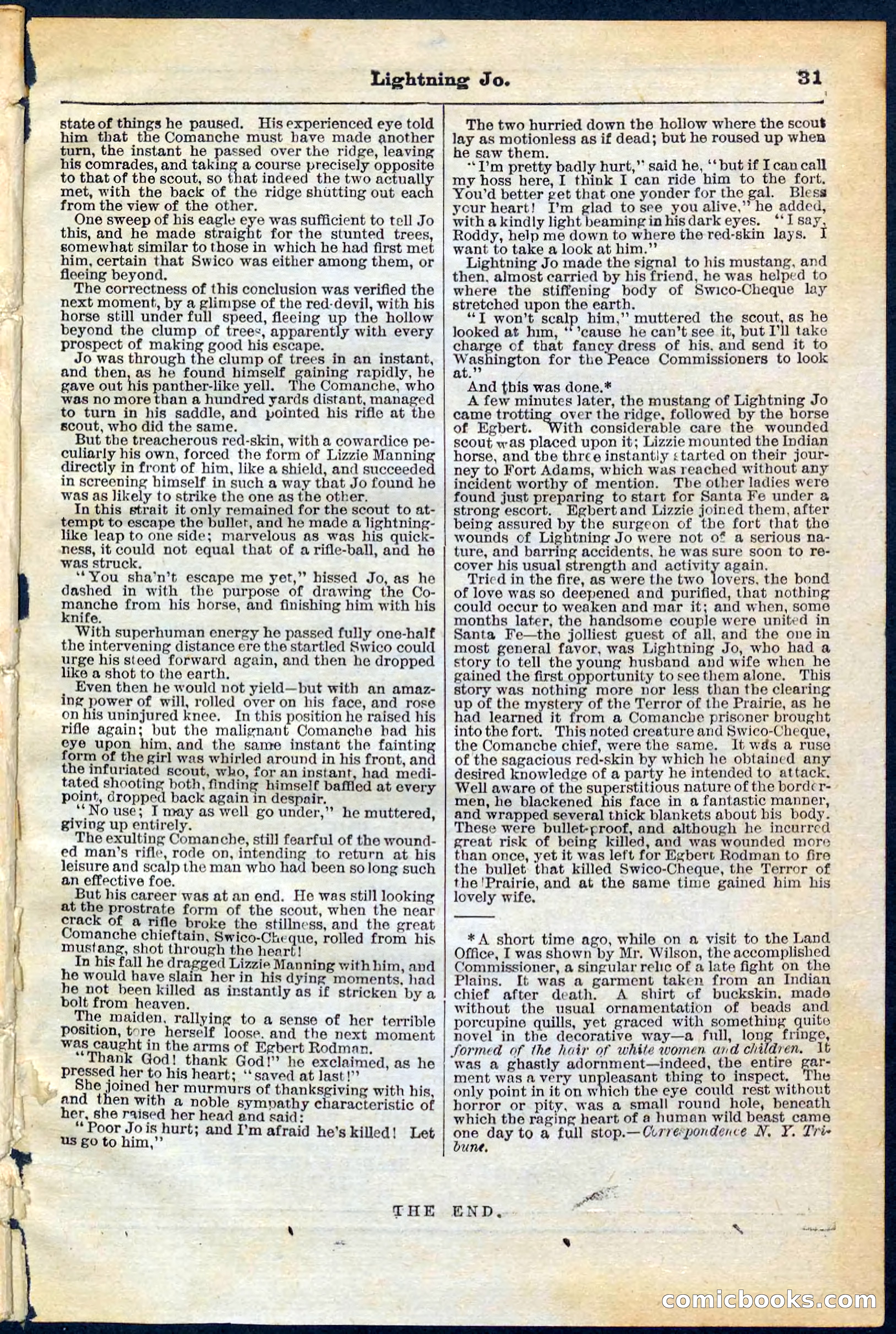 Beadle's Pocket Library No. 65 — page 31 of 32