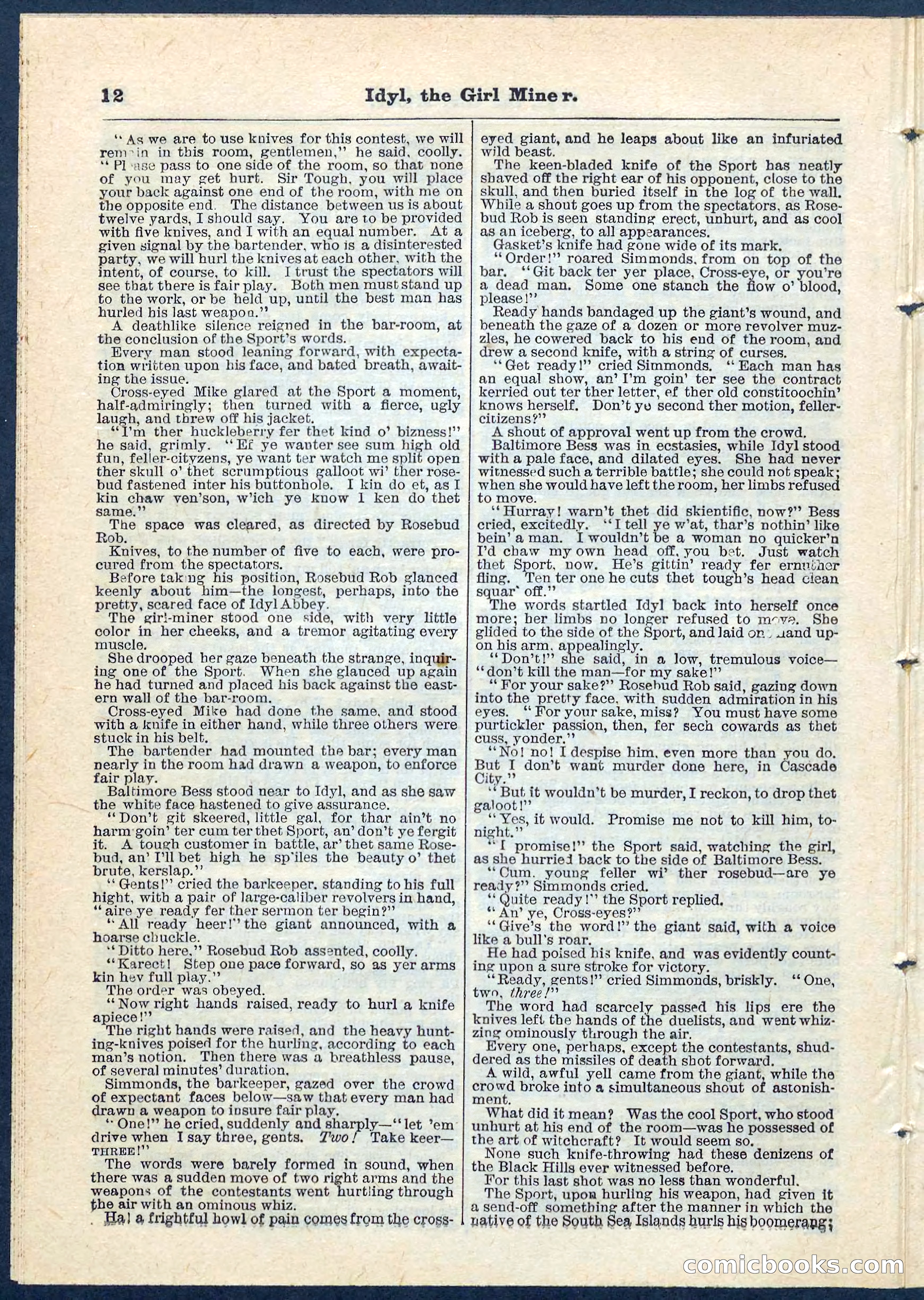 Beadle's Pocket Library No. 68 — page 12 of 32