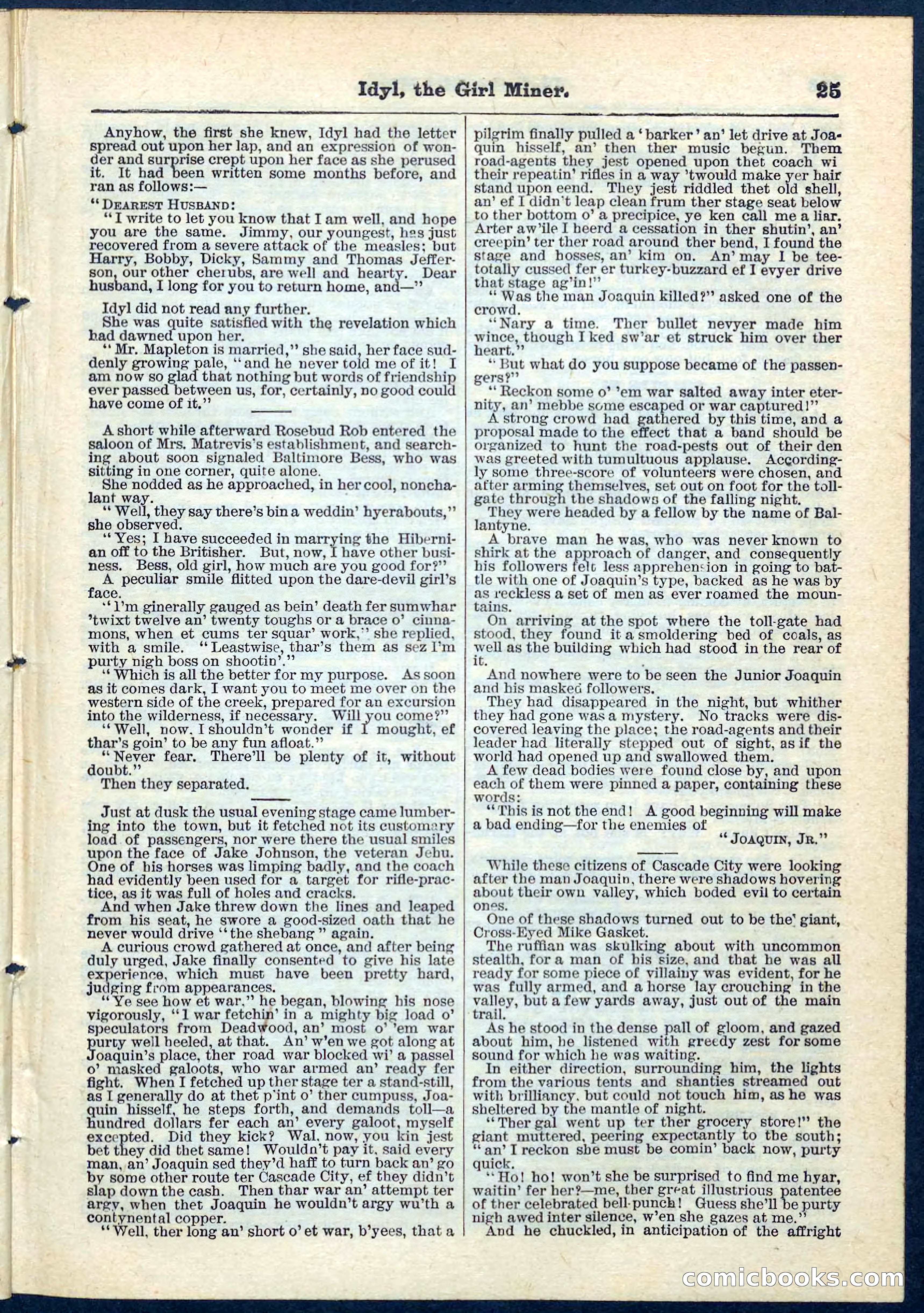 Beadle's Pocket Library No. 68 — page 25 of 32