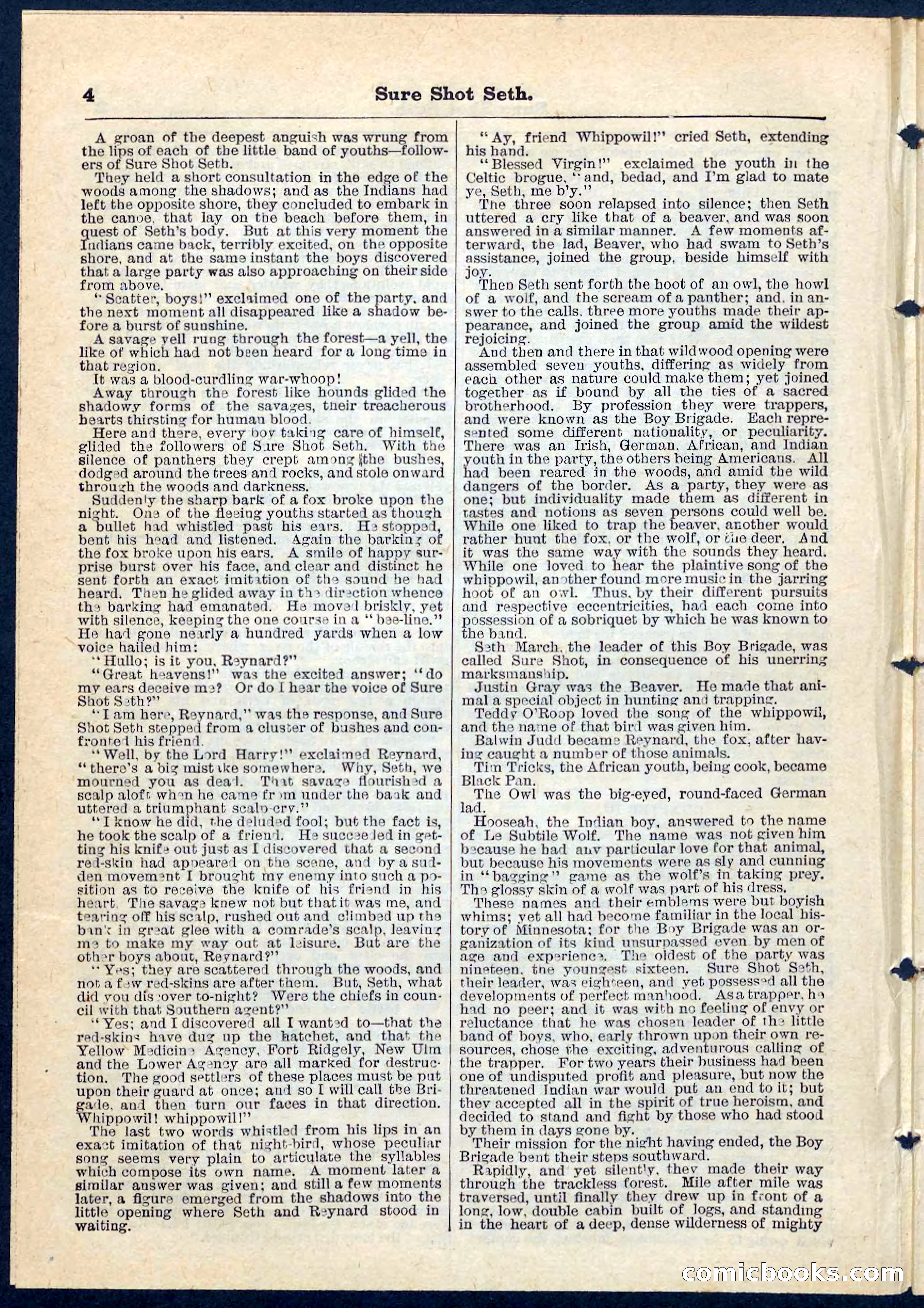 Beadle's Pocket Library No. 70 — page 4 of 32