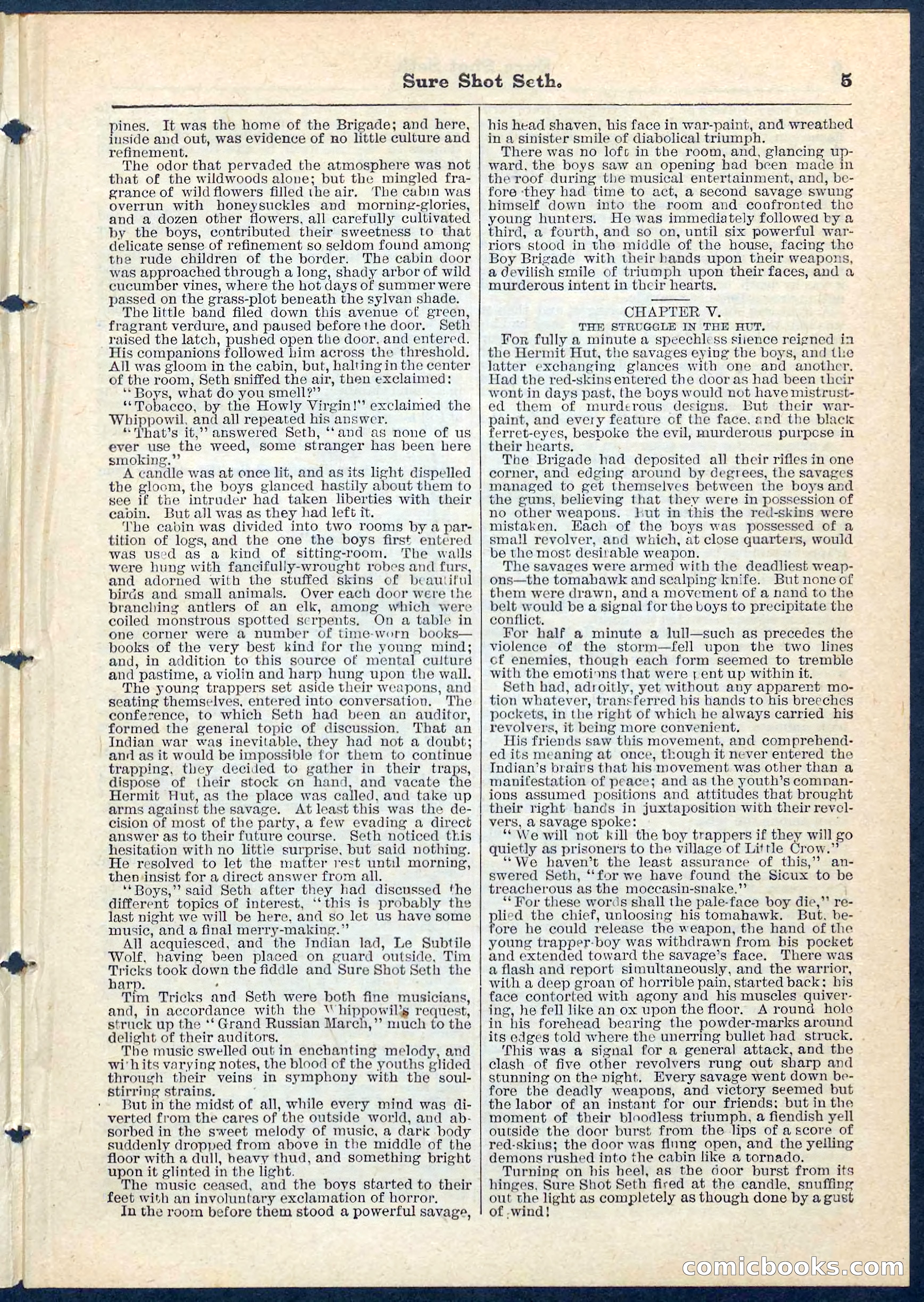 Beadle's Pocket Library No. 70 — page 5 of 32