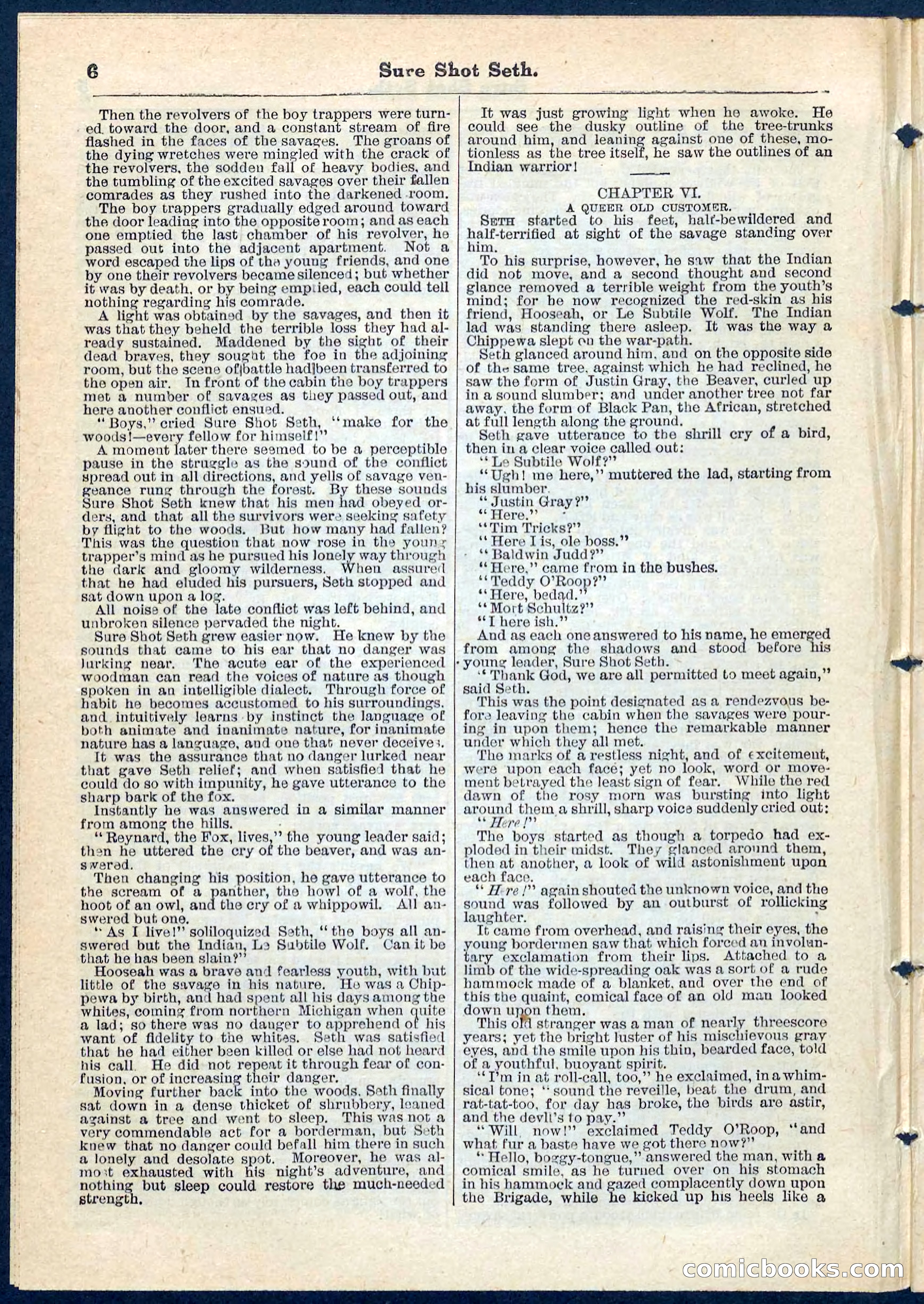 Beadle's Pocket Library No. 70 — page 6 of 32