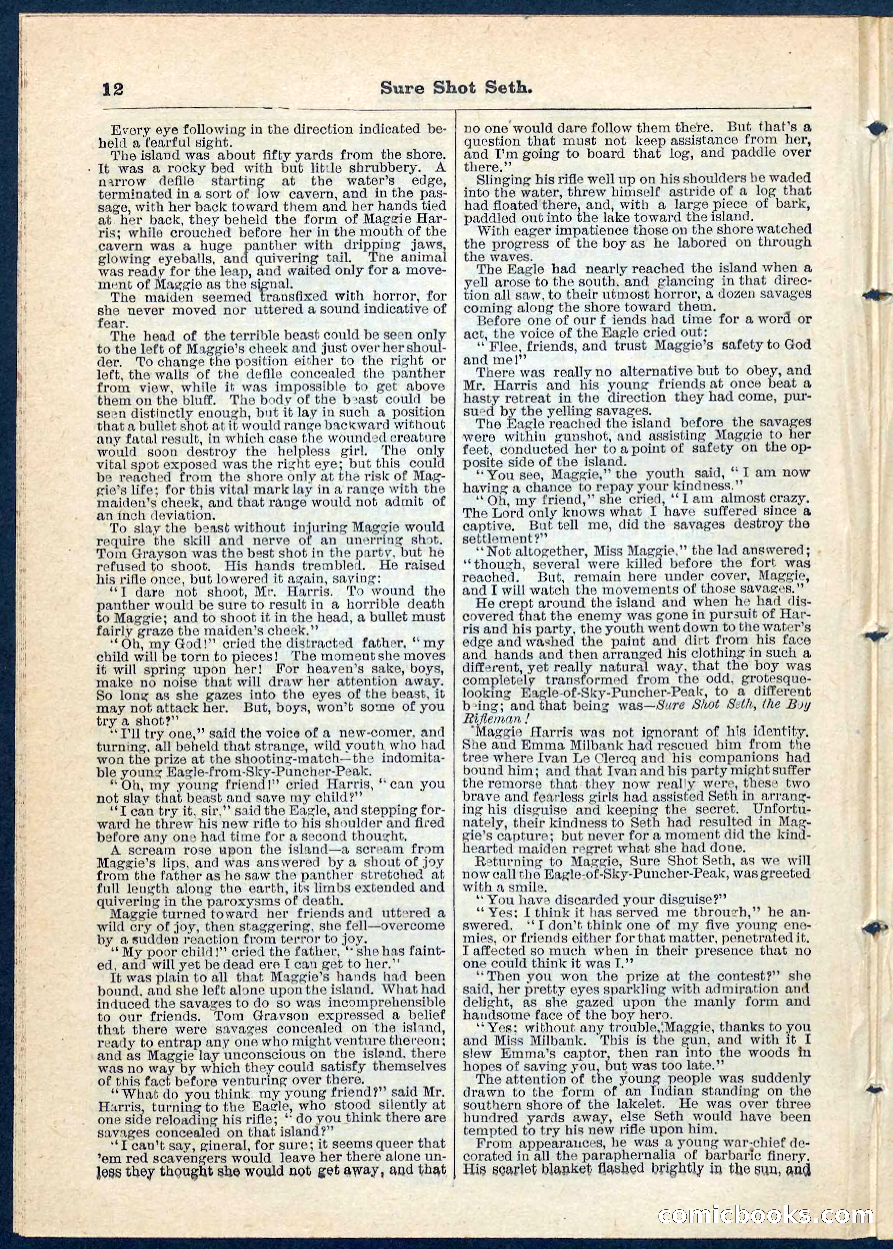 Beadle's Pocket Library No. 70 — page 12 of 32