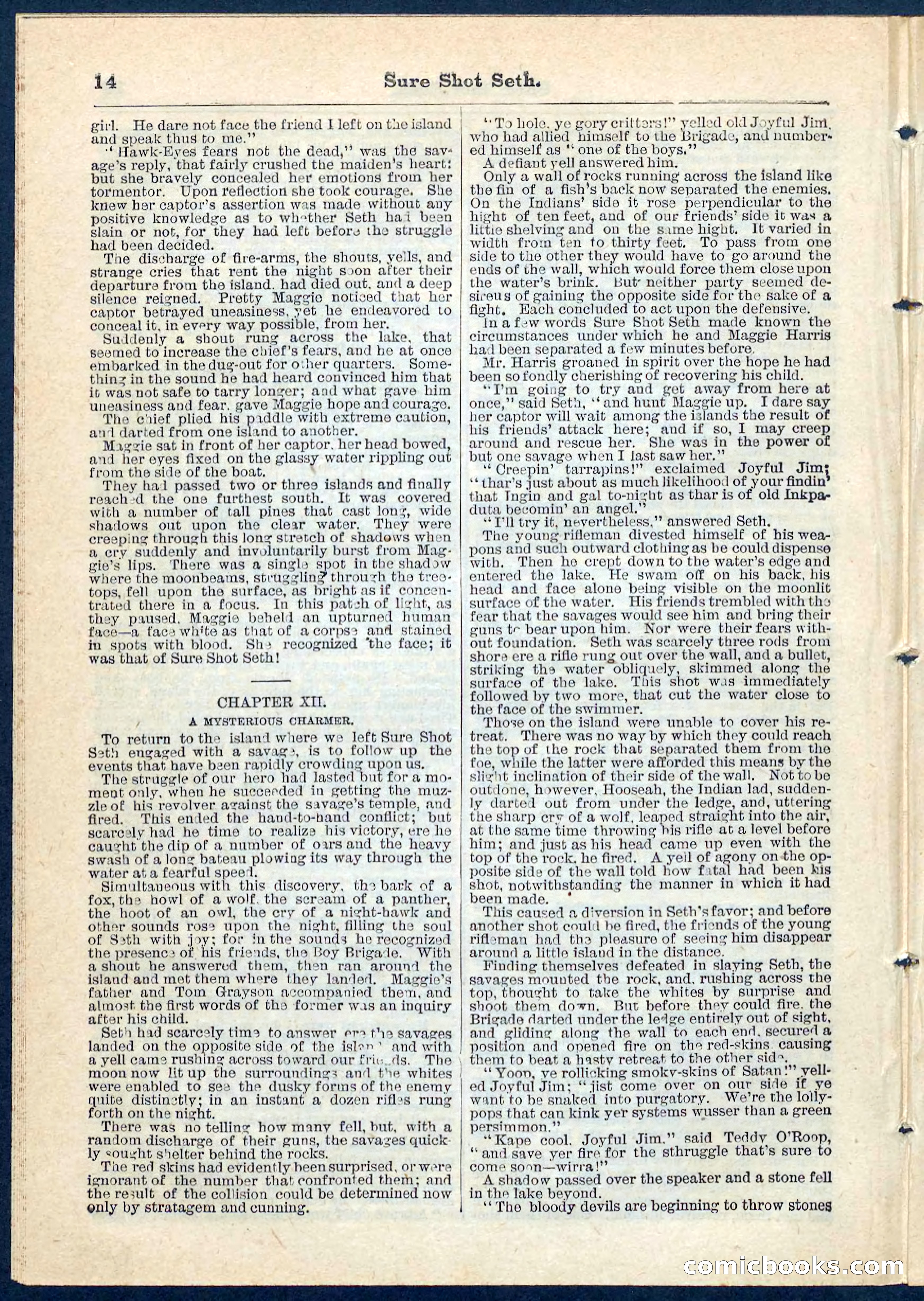 Beadle's Pocket Library No. 70 — page 14 of 32