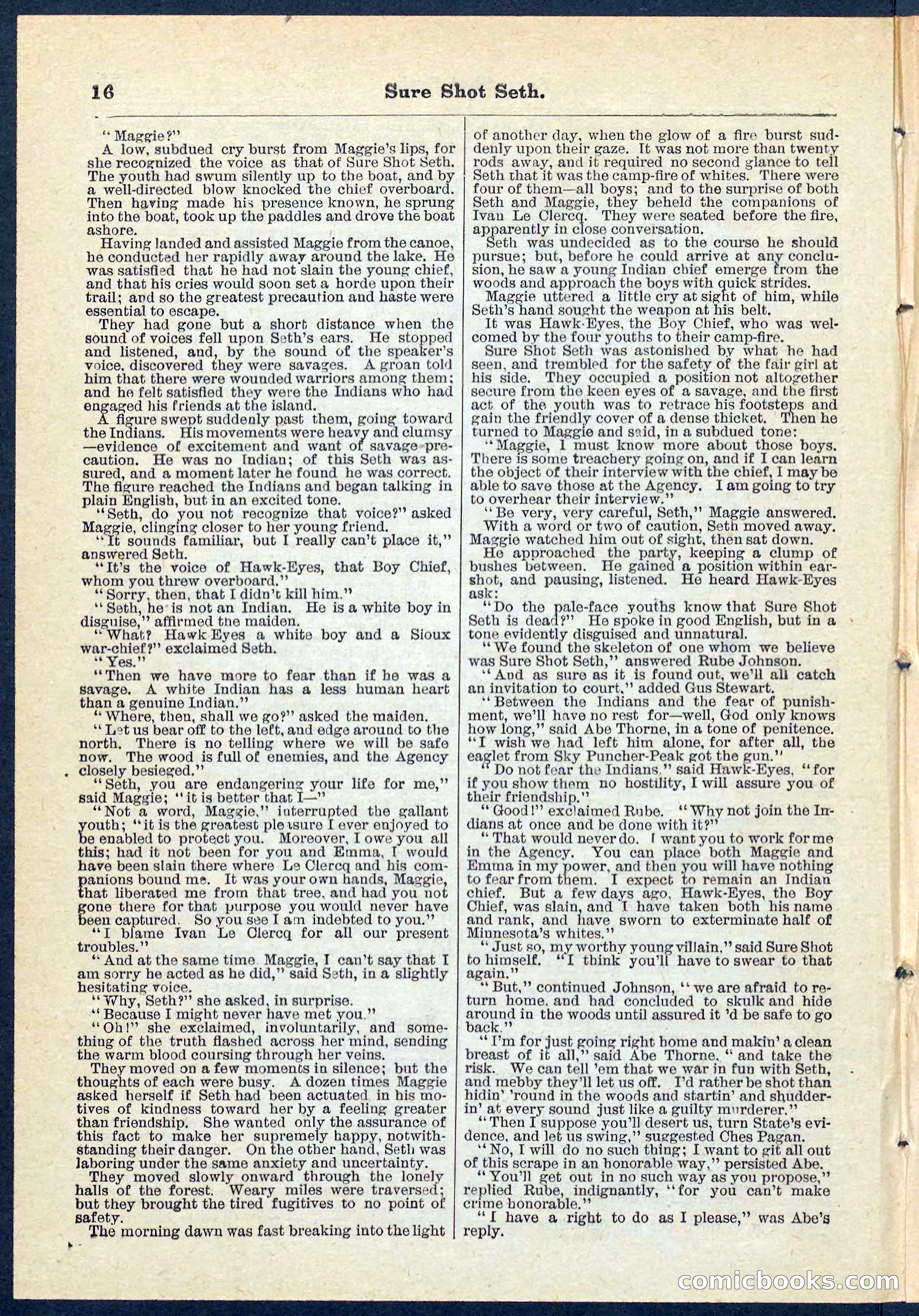Beadle's Pocket Library No. 70 — page 16 of 32
