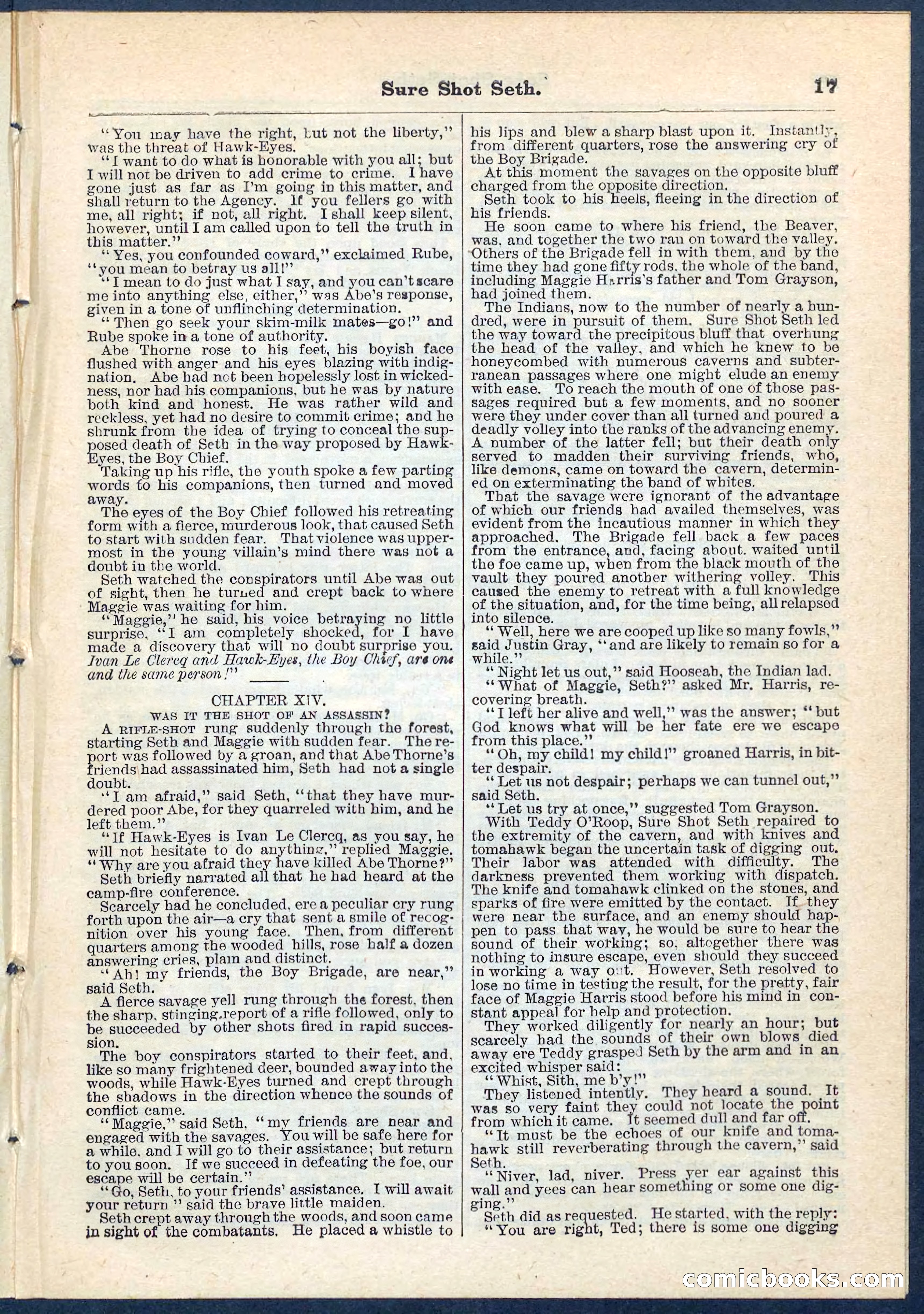 Beadle's Pocket Library No. 70 — page 17 of 32