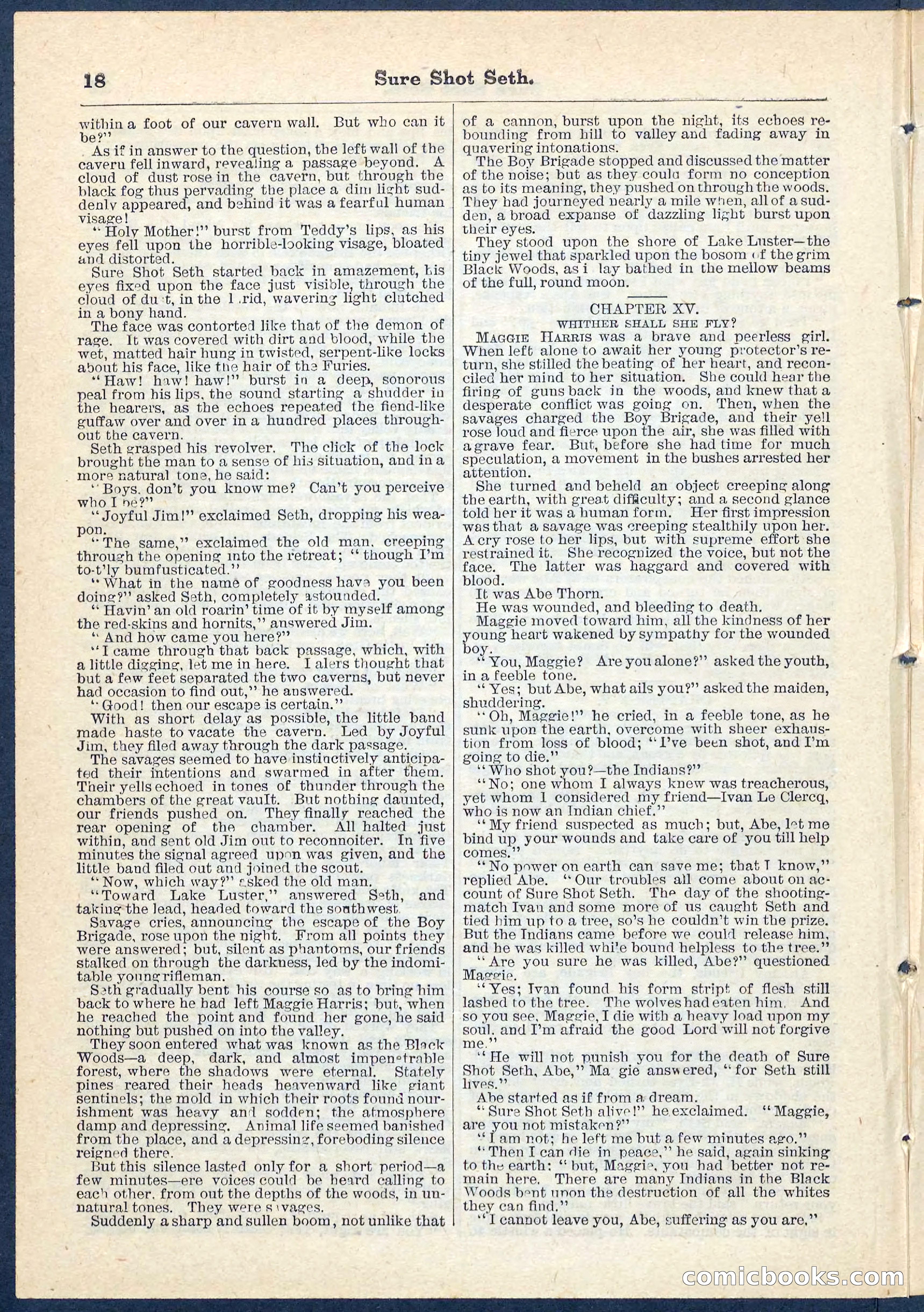 Beadle's Pocket Library No. 70 — page 18 of 32