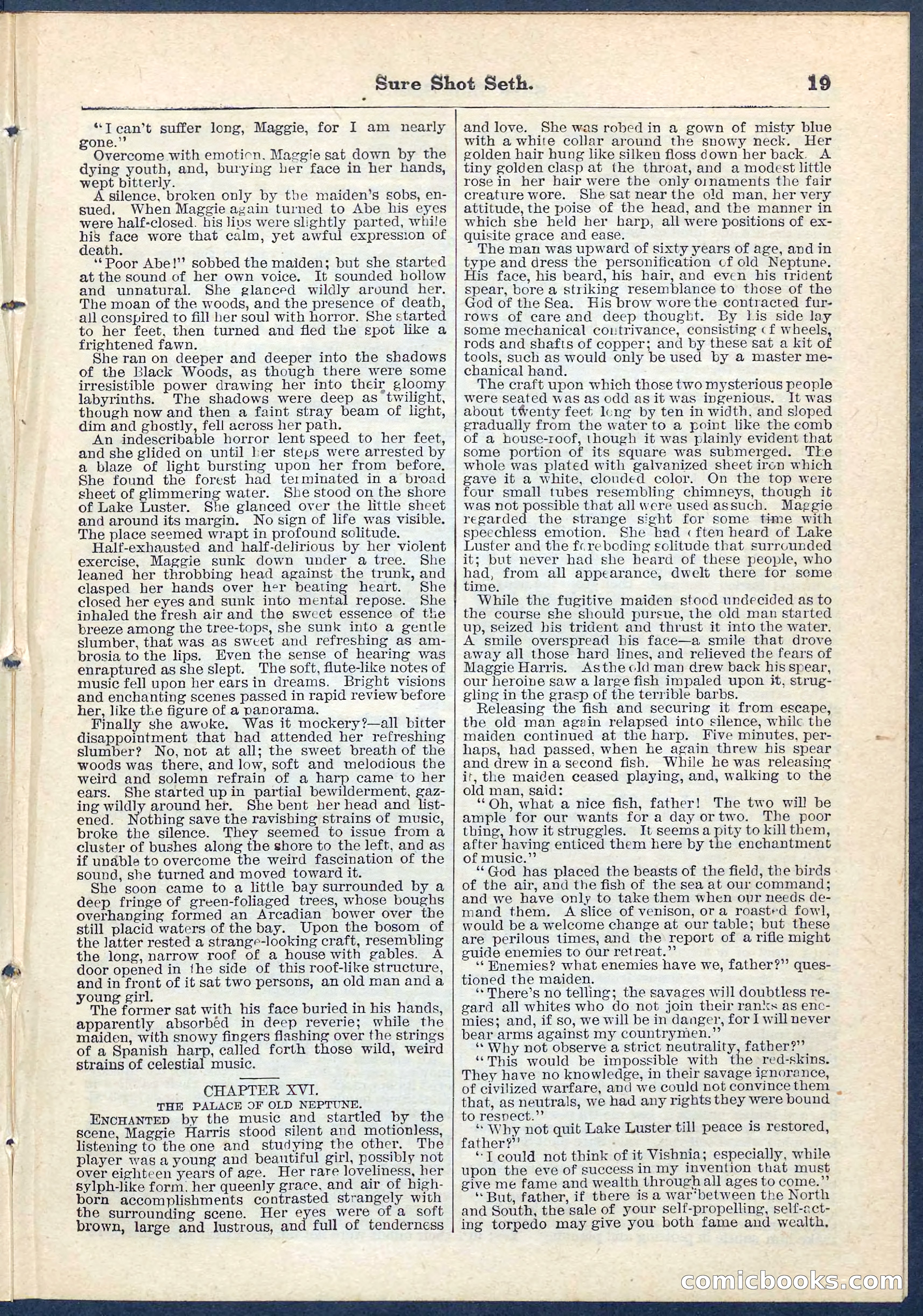 Beadle's Pocket Library No. 70 — page 19 of 32