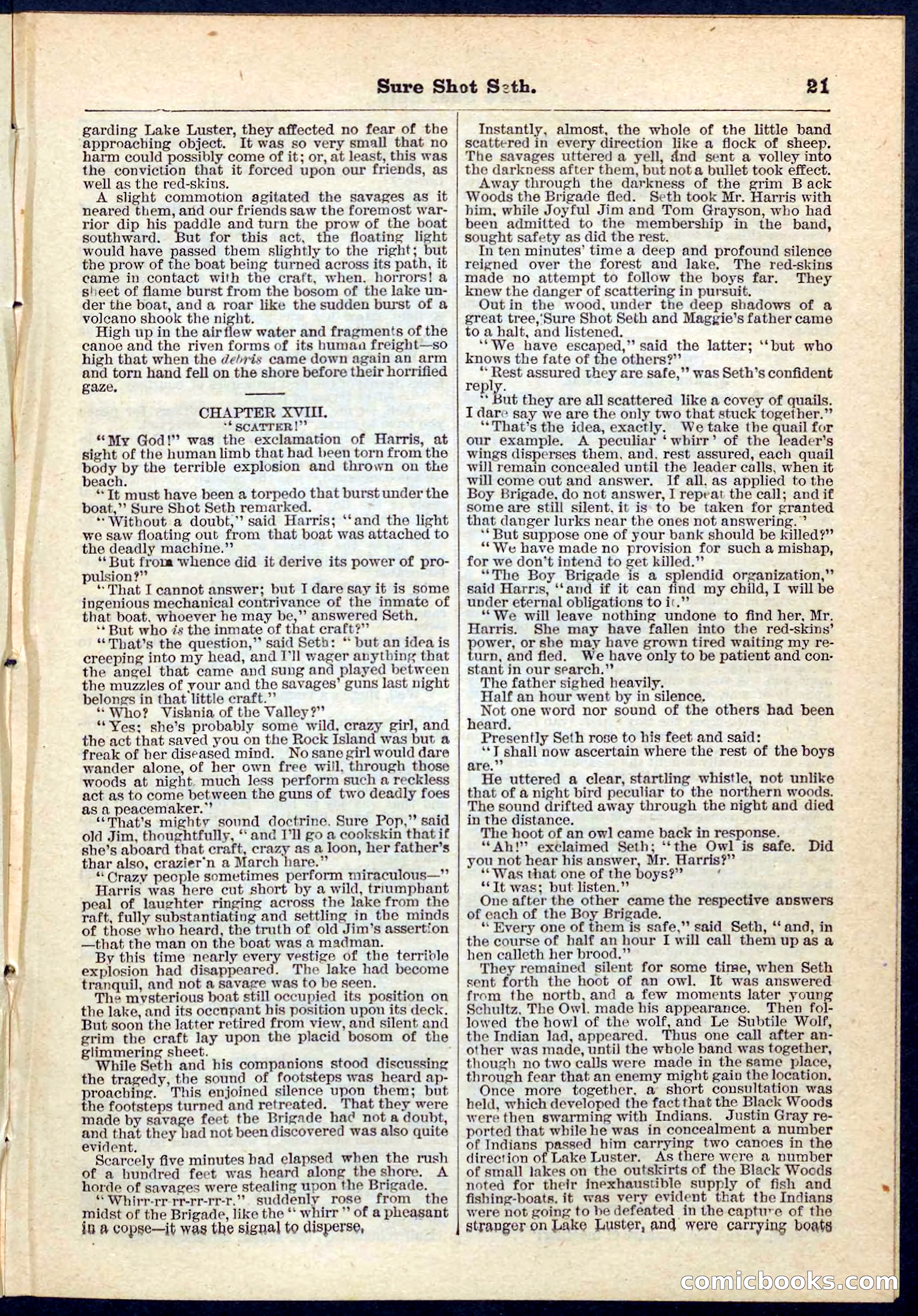 Beadle's Pocket Library No. 70 — page 21 of 32