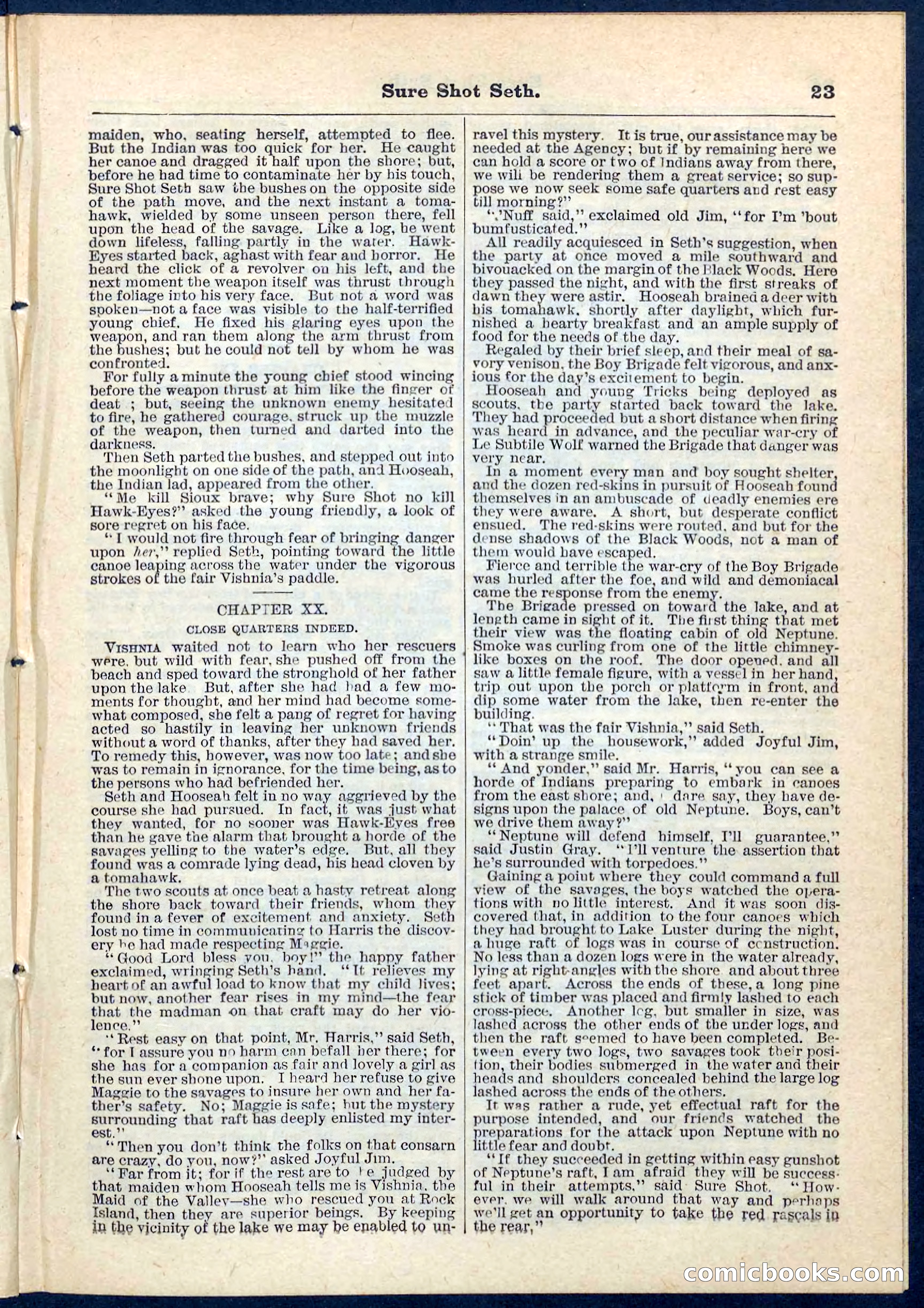 Beadle's Pocket Library No. 70 — page 23 of 32