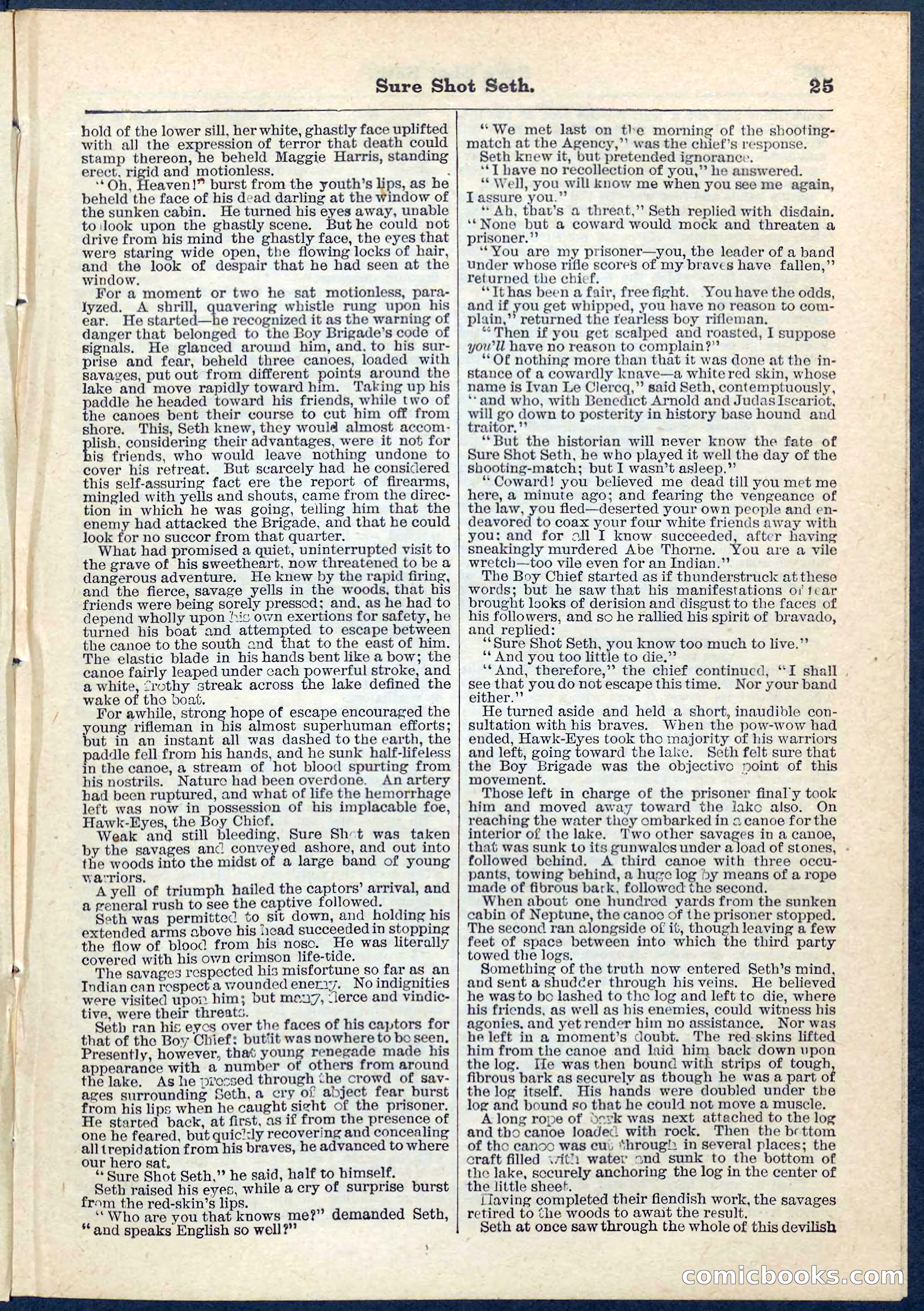 Beadle's Pocket Library No. 70 — page 25 of 32