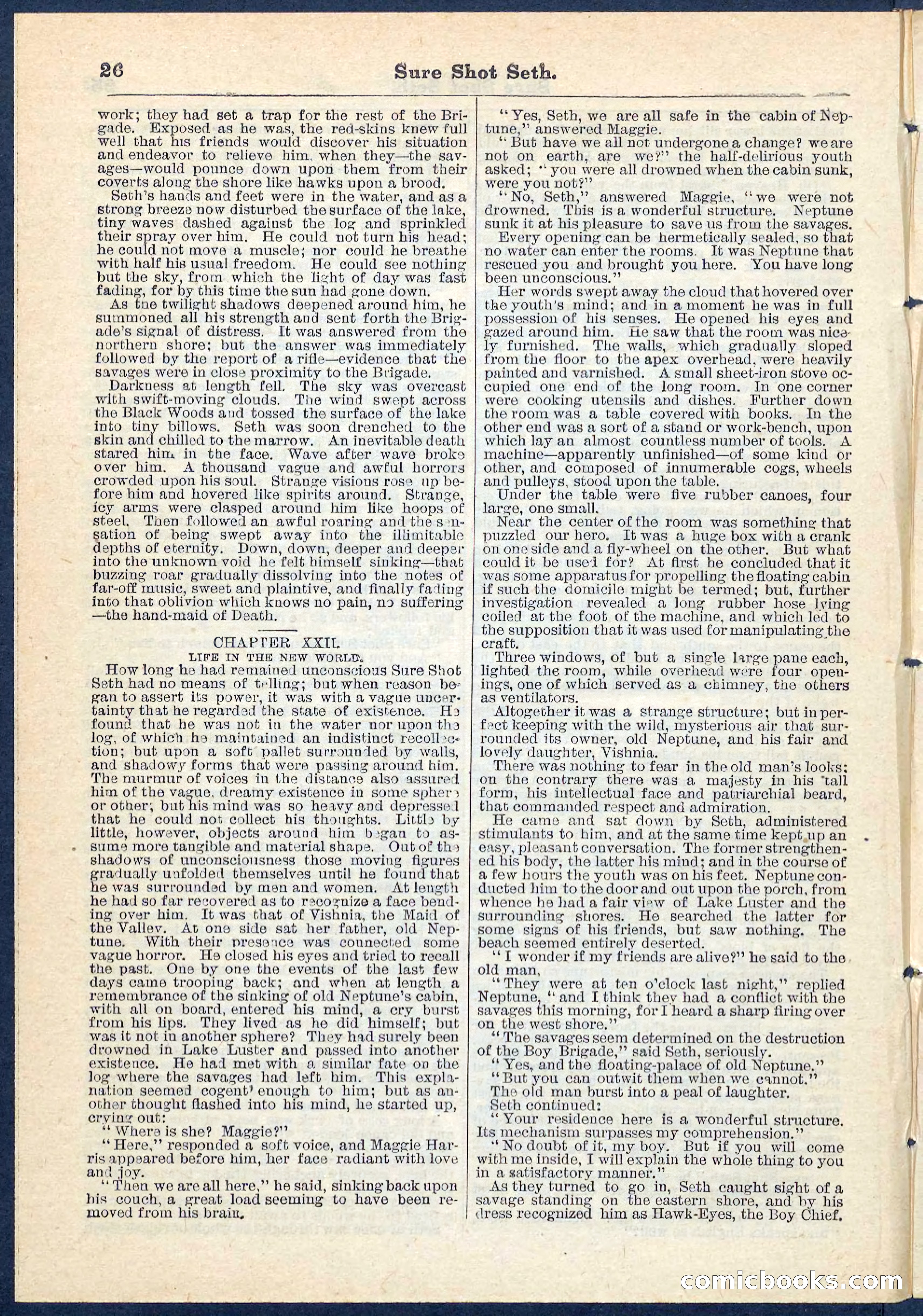 Beadle's Pocket Library No. 70 — page 26 of 32