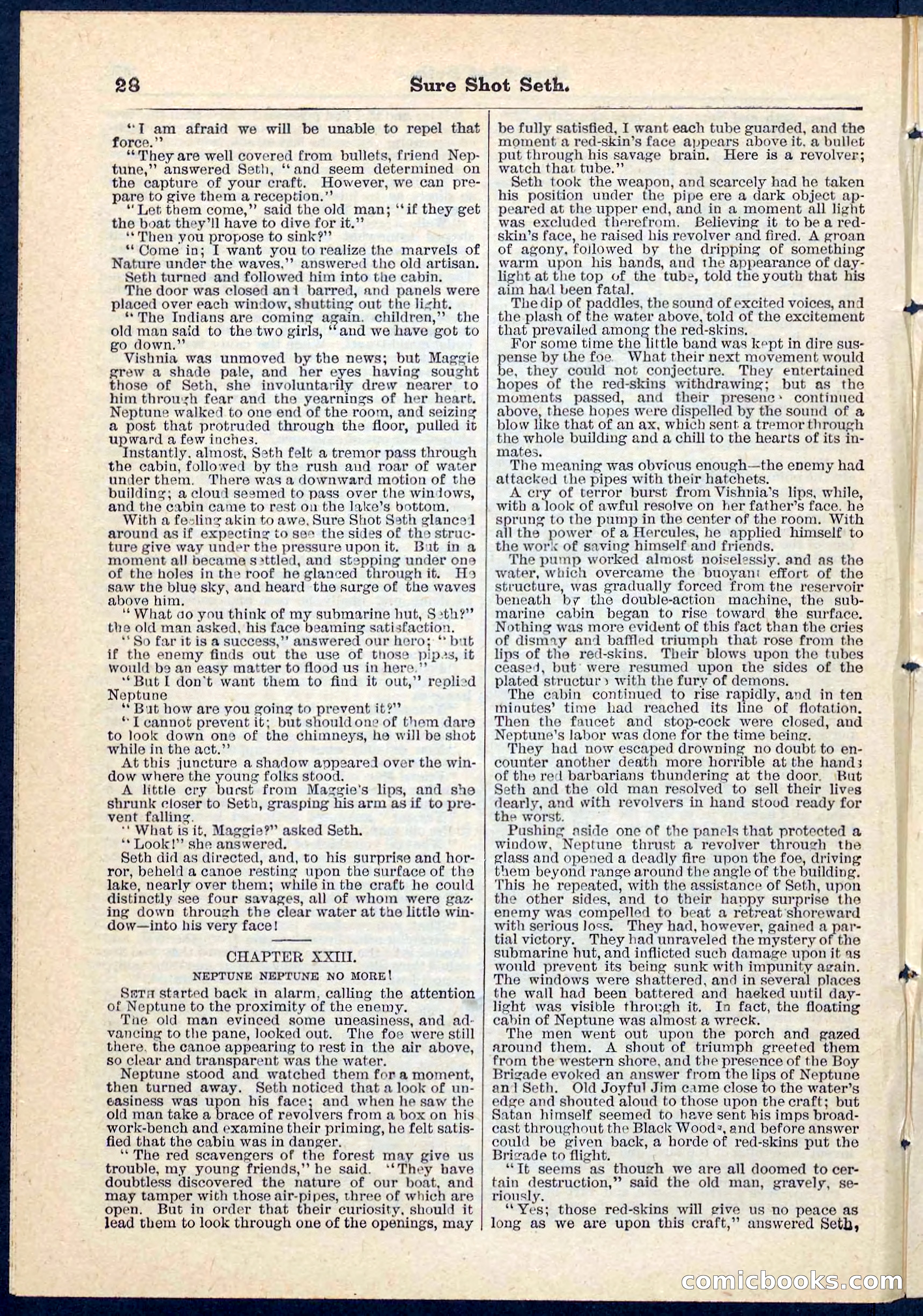 Beadle's Pocket Library No. 70 — page 28 of 32