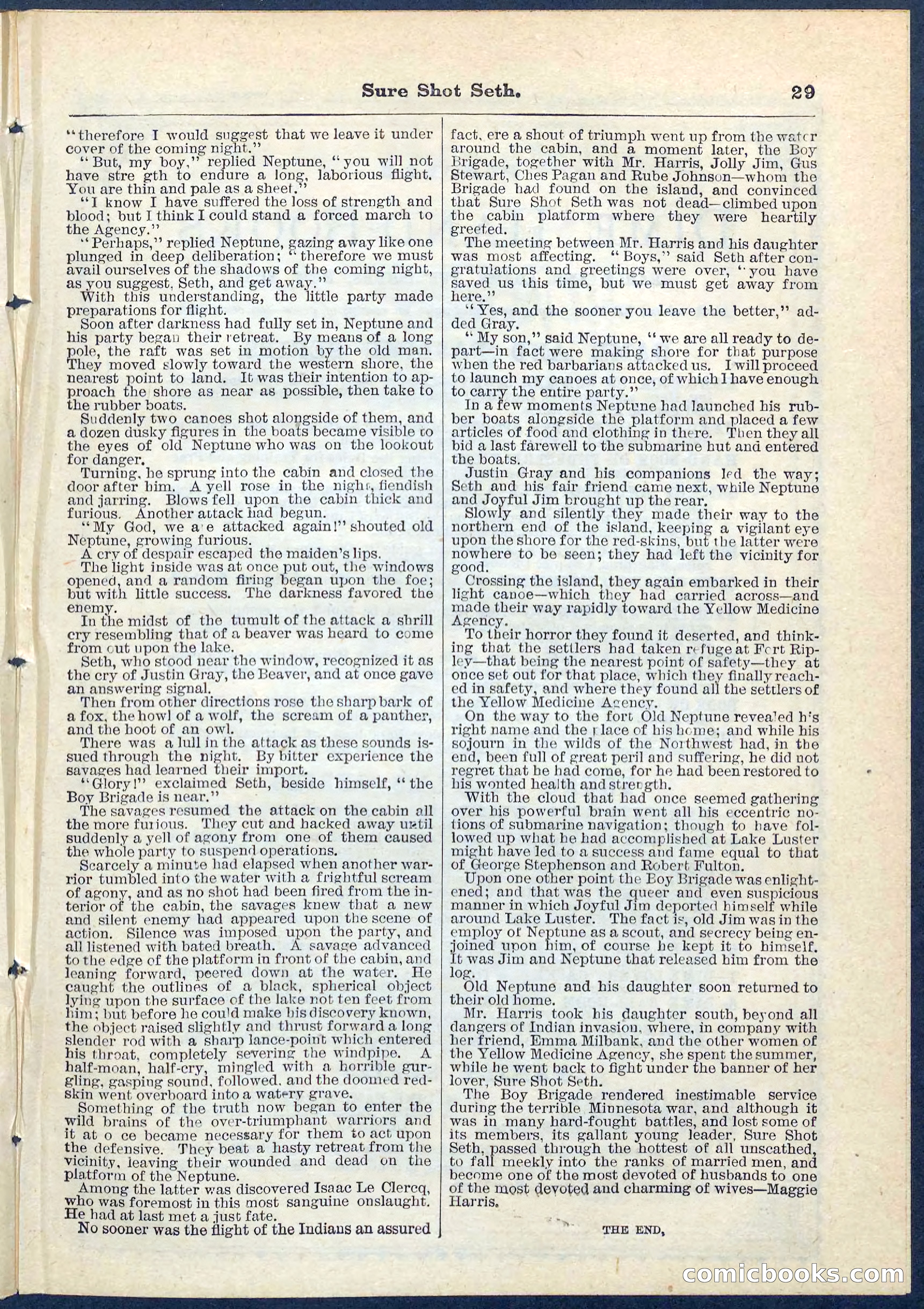 Beadle's Pocket Library No. 70 — page 29 of 32