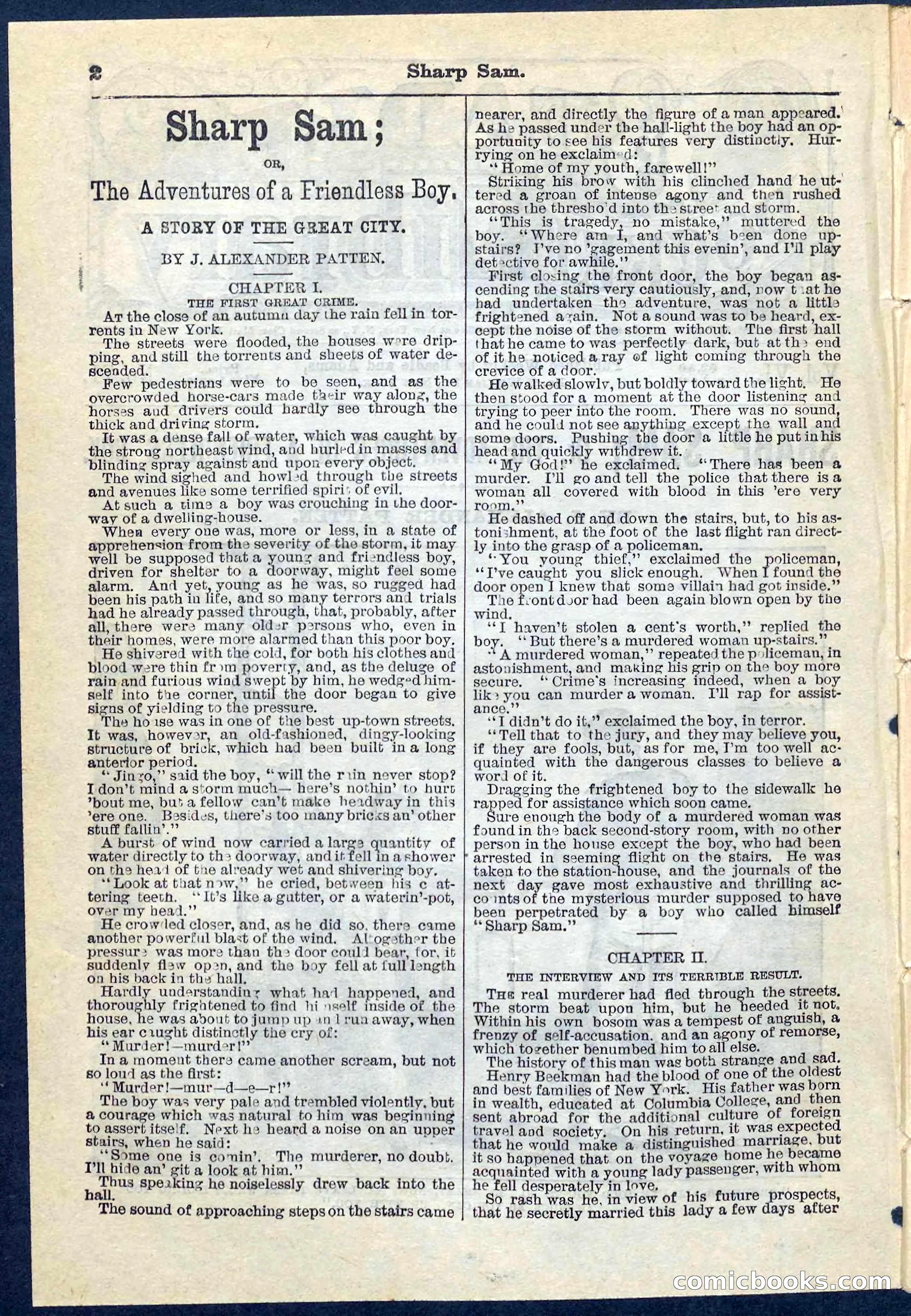 Beadle's Pocket Library No. 71 — page 2 of 32