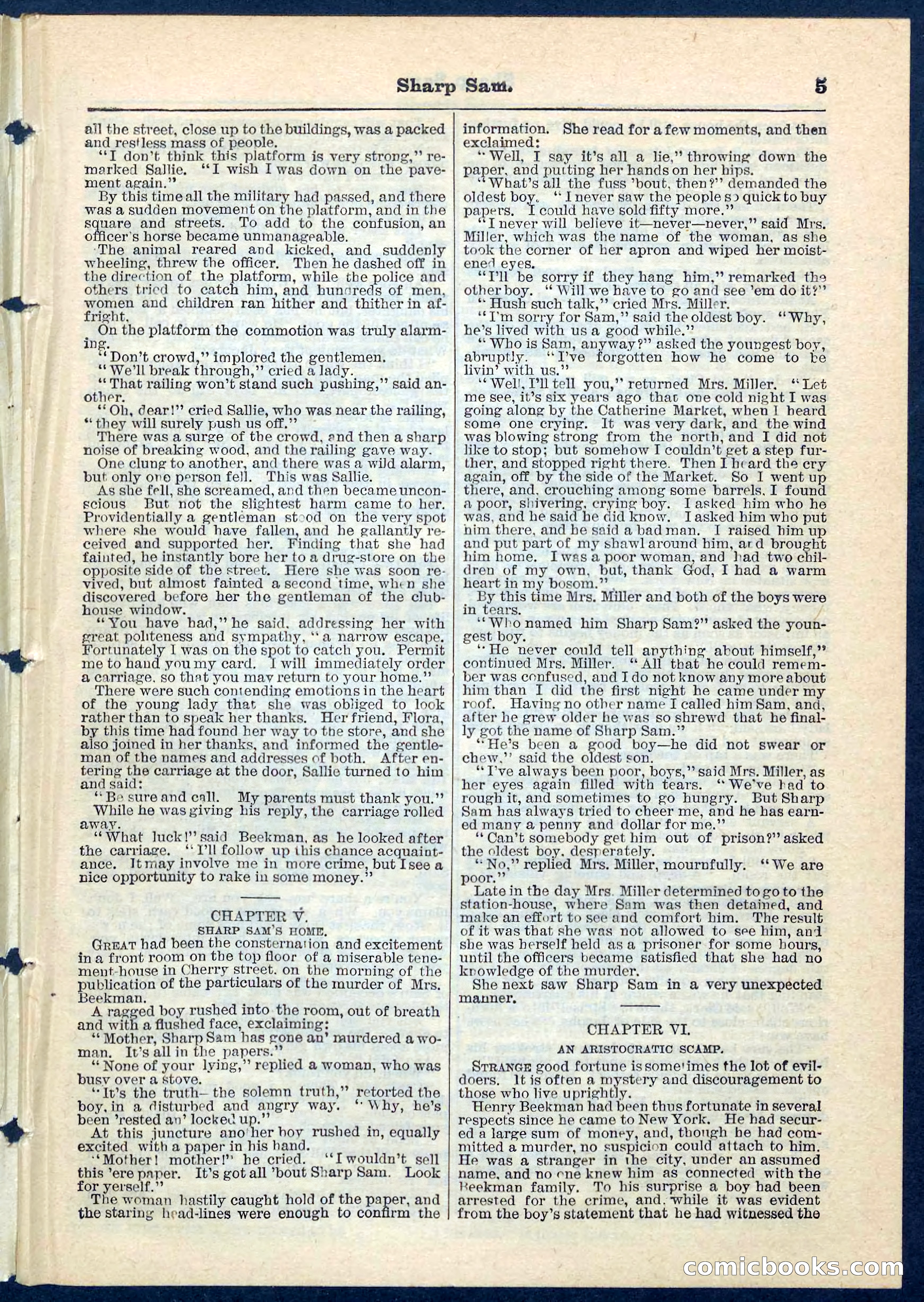Beadle's Pocket Library No. 71 — page 5 of 32