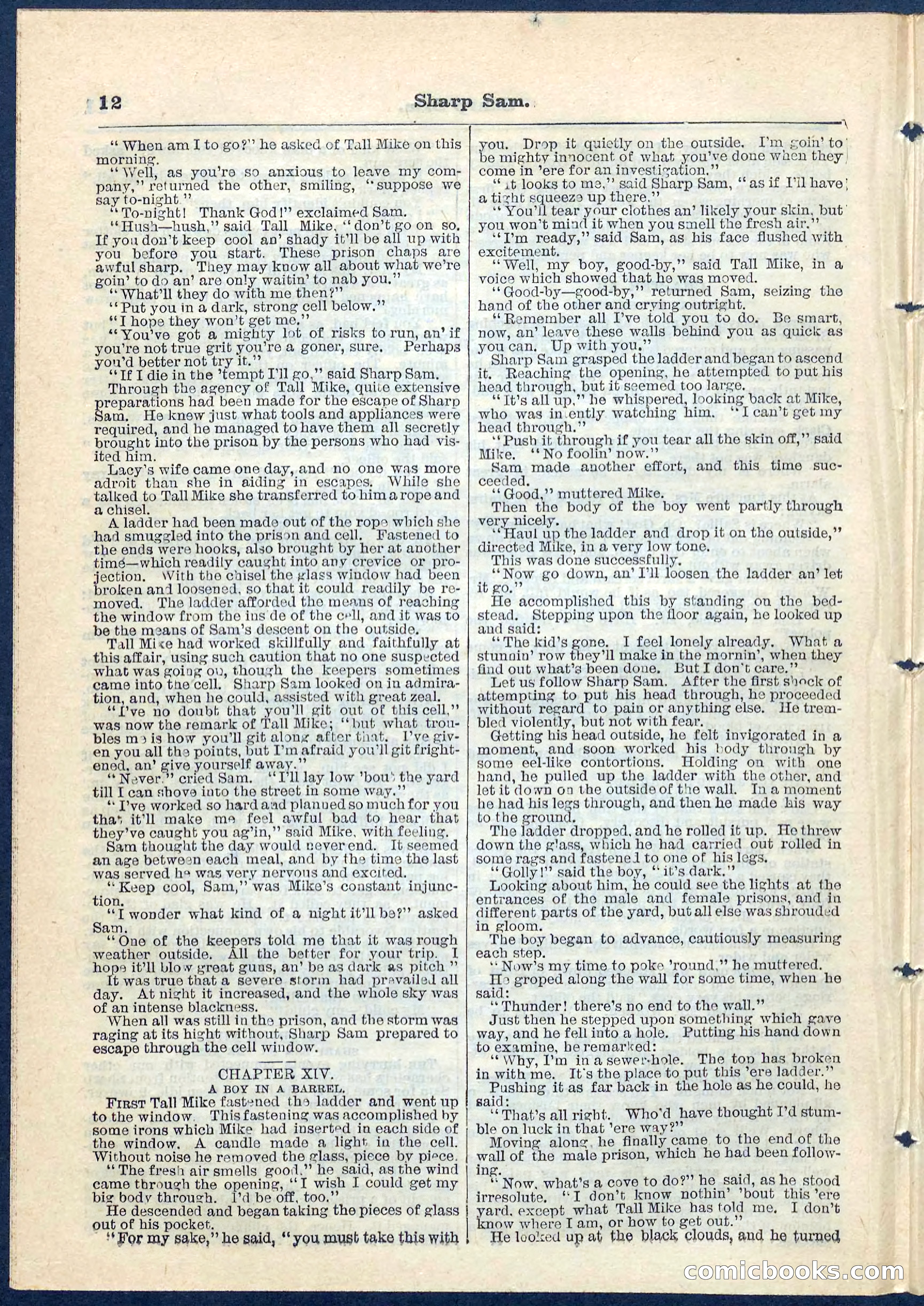 Beadle's Pocket Library No. 71 — page 12 of 32
