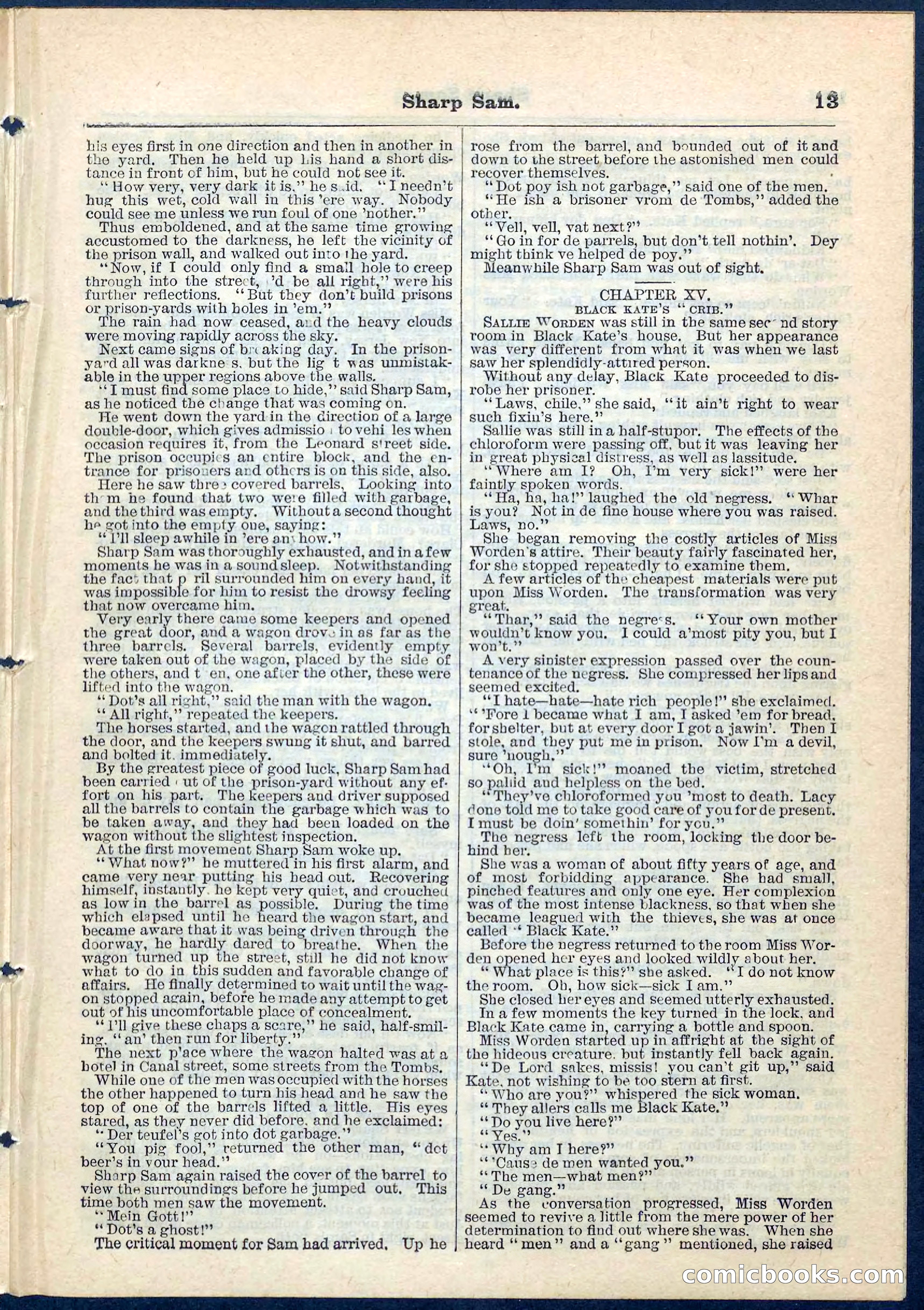 Beadle's Pocket Library No. 71 — page 13 of 32