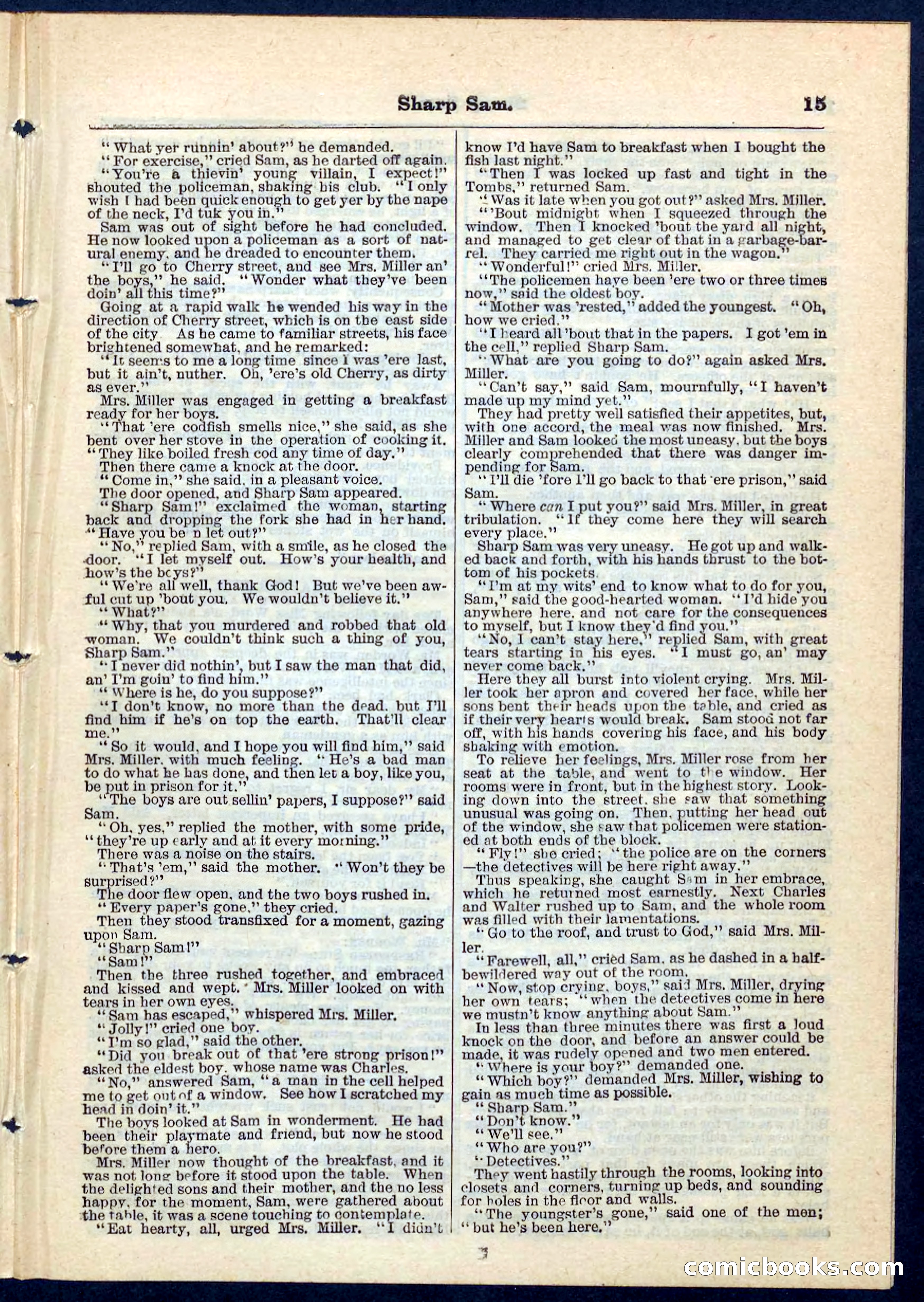 Beadle's Pocket Library No. 71 — page 15 of 32