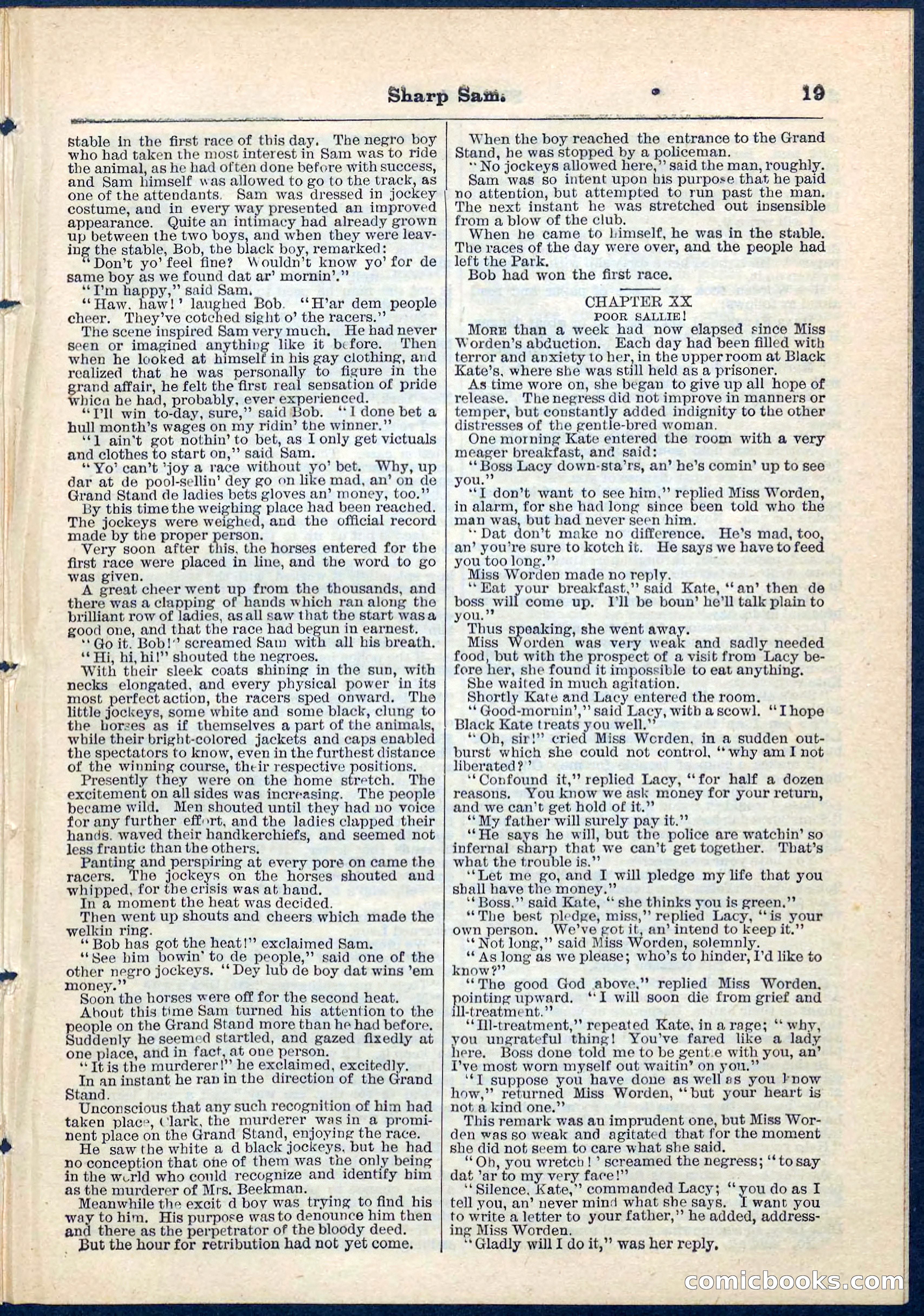 Beadle's Pocket Library No. 71 — page 19 of 32