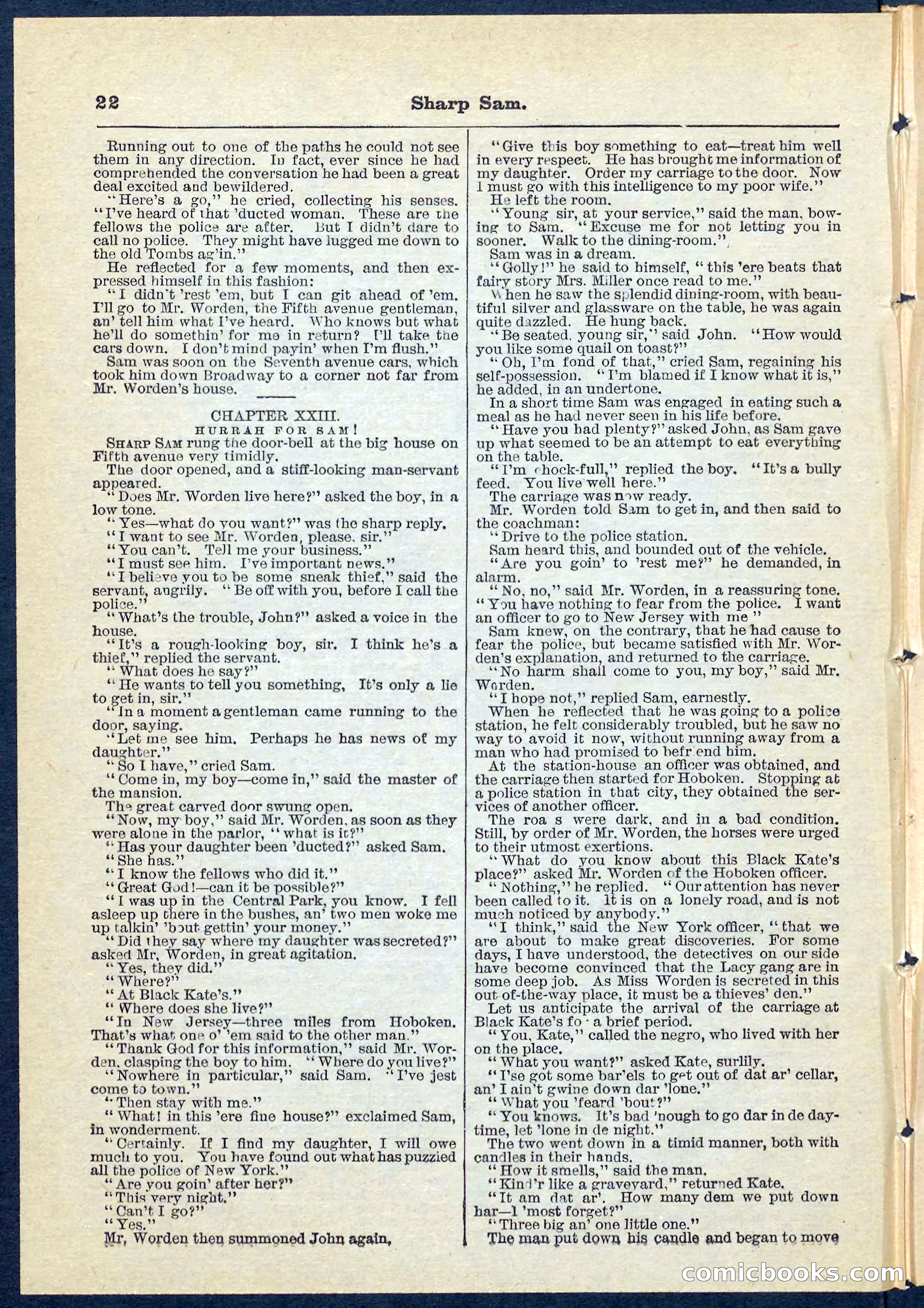 Beadle's Pocket Library No. 71 — page 22 of 32