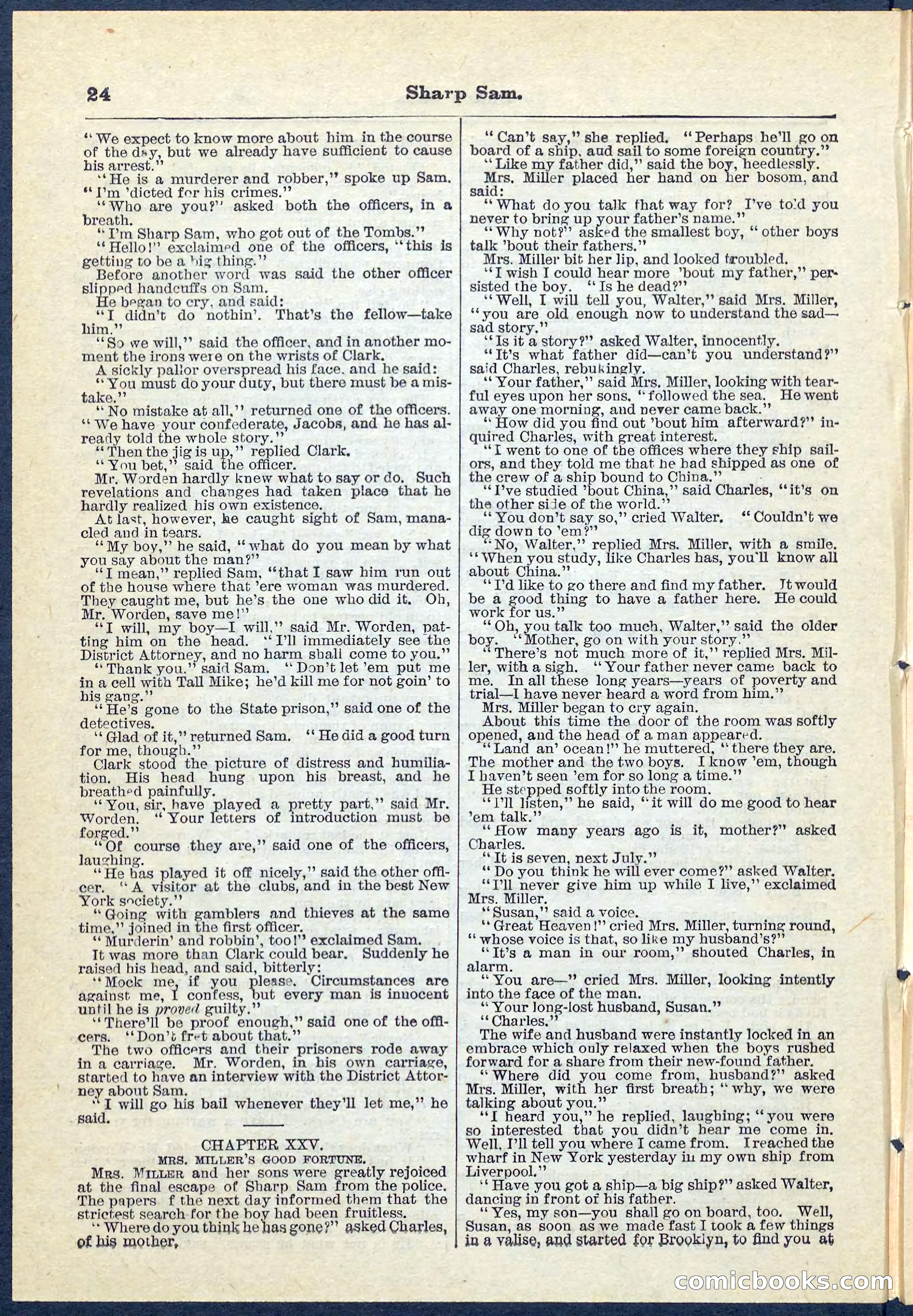 Beadle's Pocket Library No. 71 — page 24 of 32