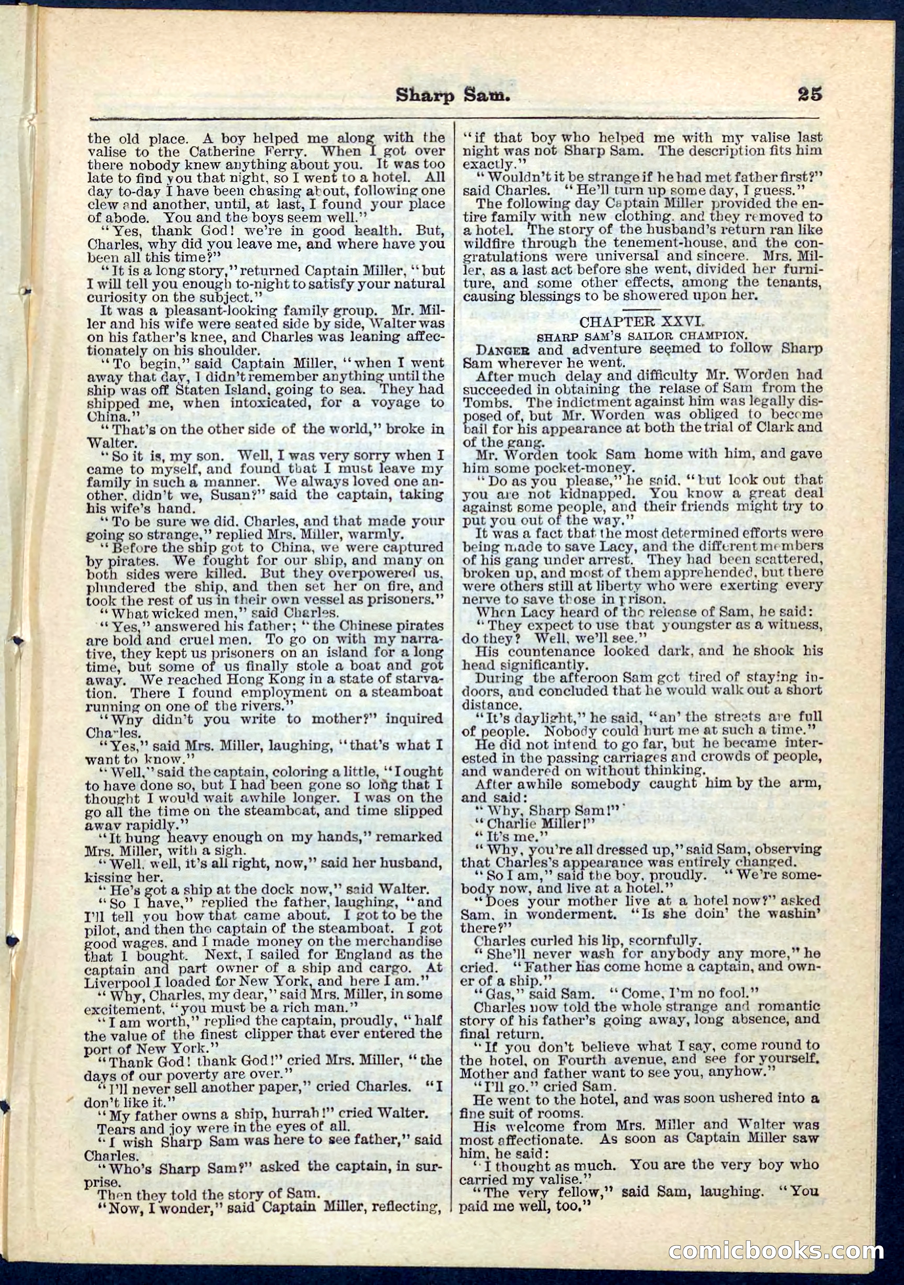Beadle's Pocket Library No. 71 — page 25 of 32