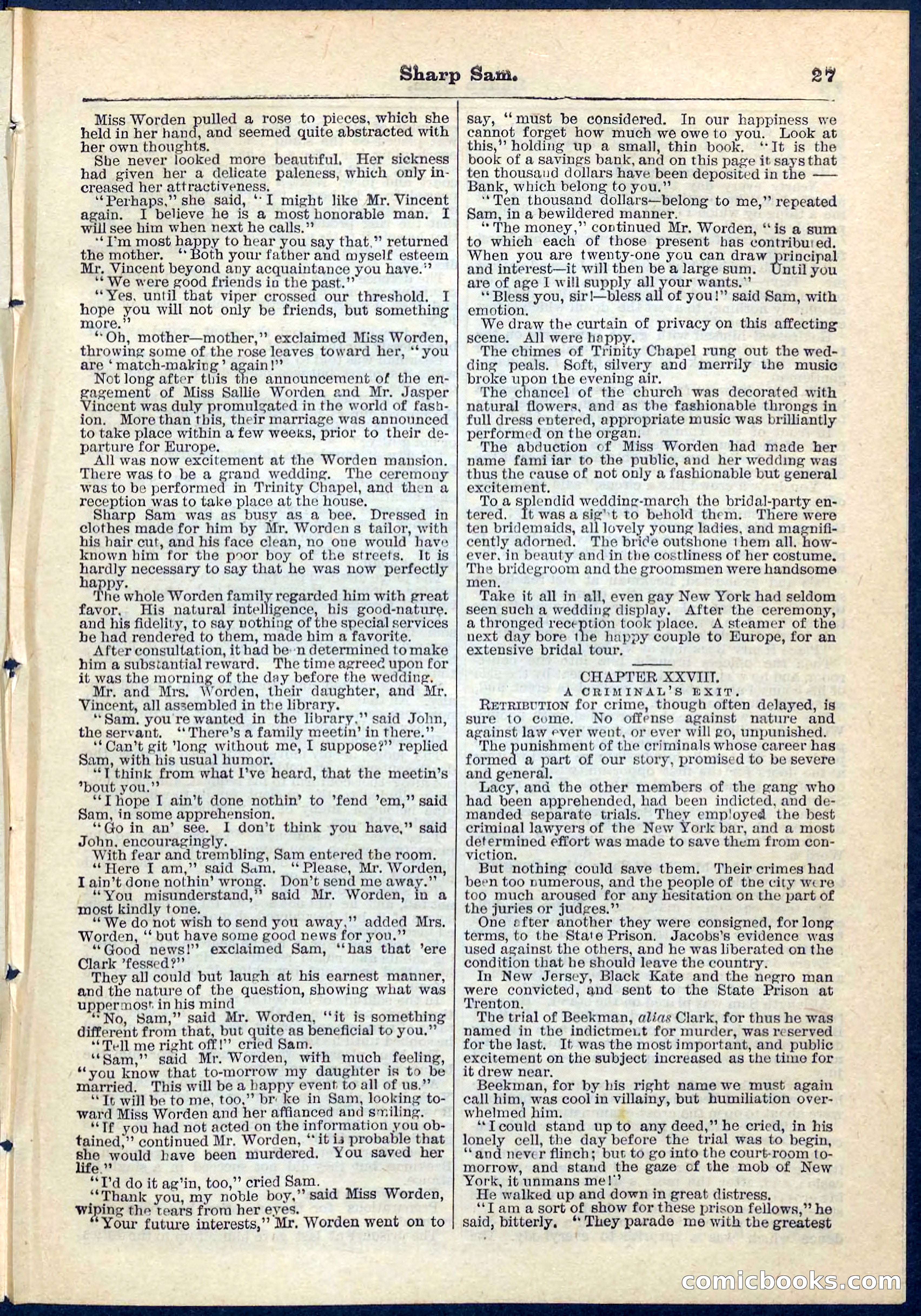 Beadle's Pocket Library No. 71 — page 27 of 32