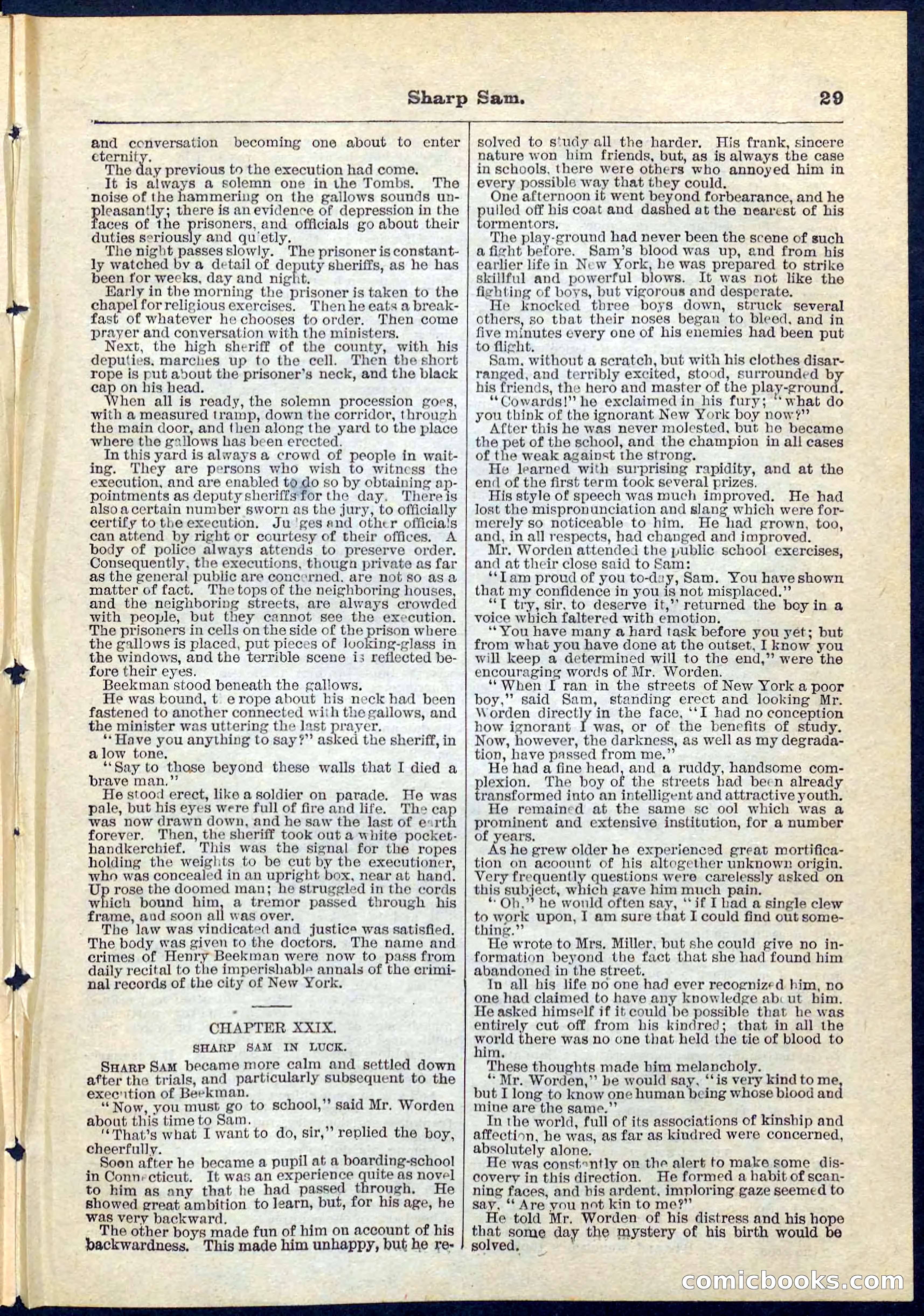 Beadle's Pocket Library No. 71 — page 29 of 32