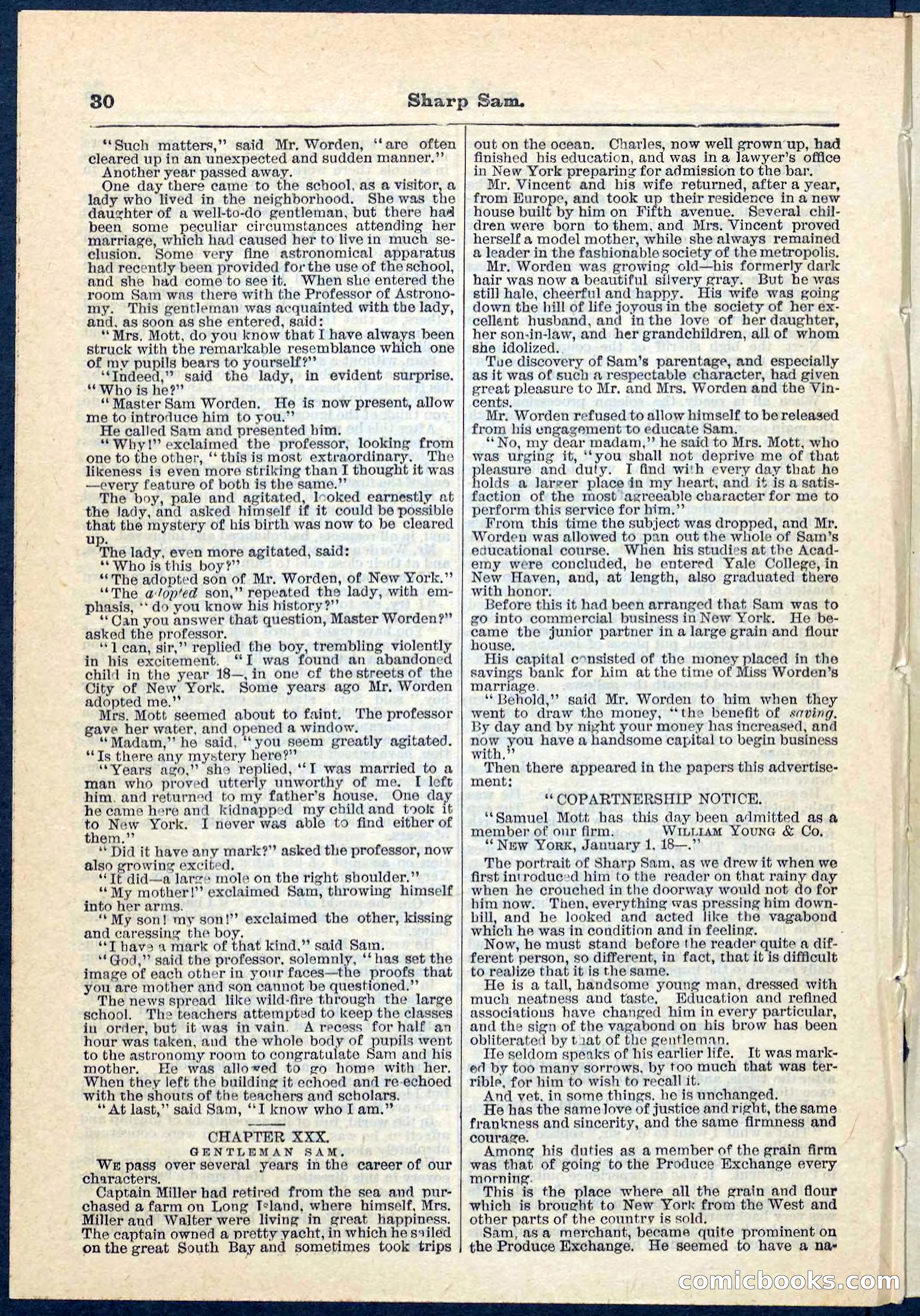 Beadle's Pocket Library No. 71 — page 30 of 32