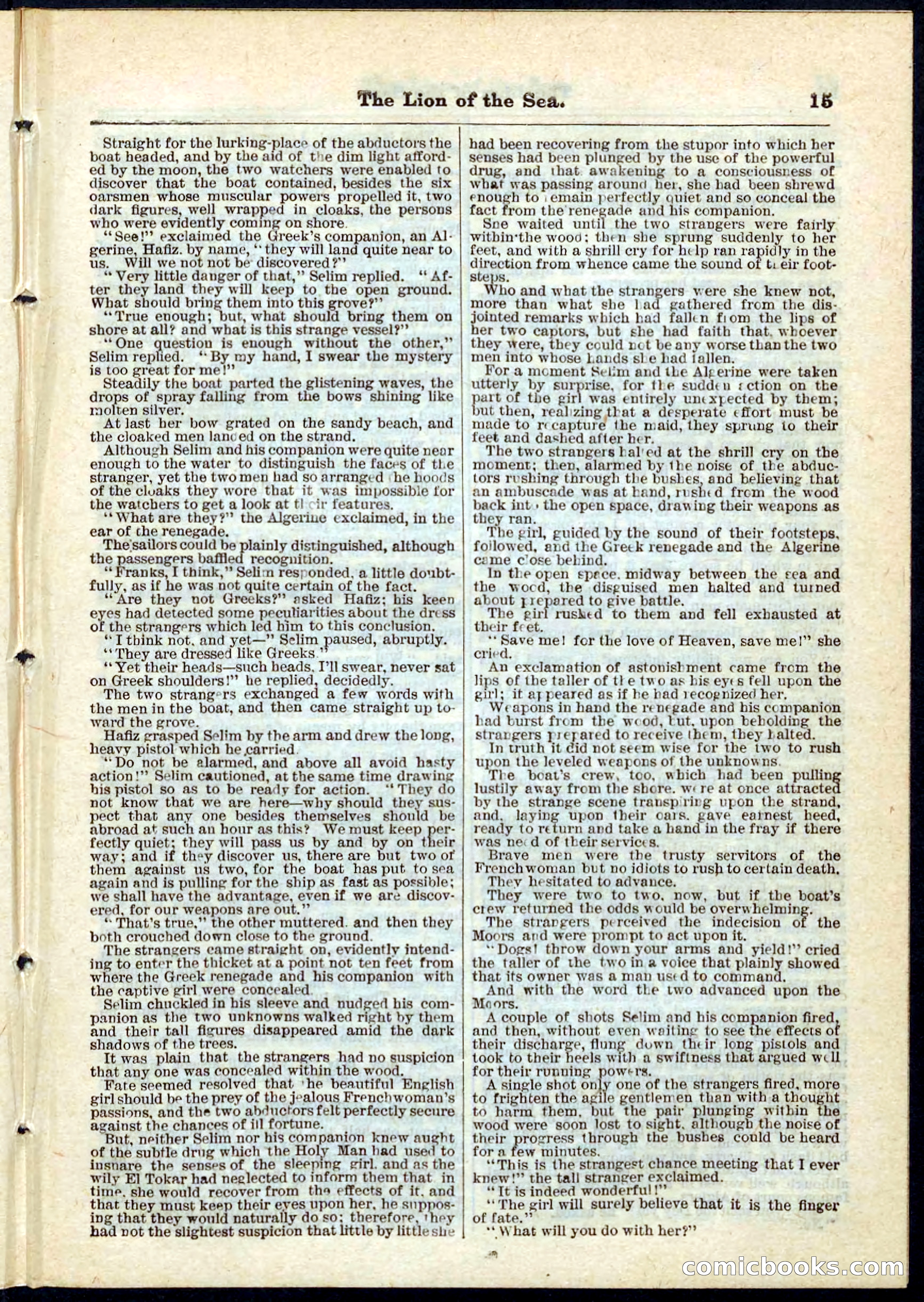 Beadle's Pocket Library No. 72 — page 15 of 32