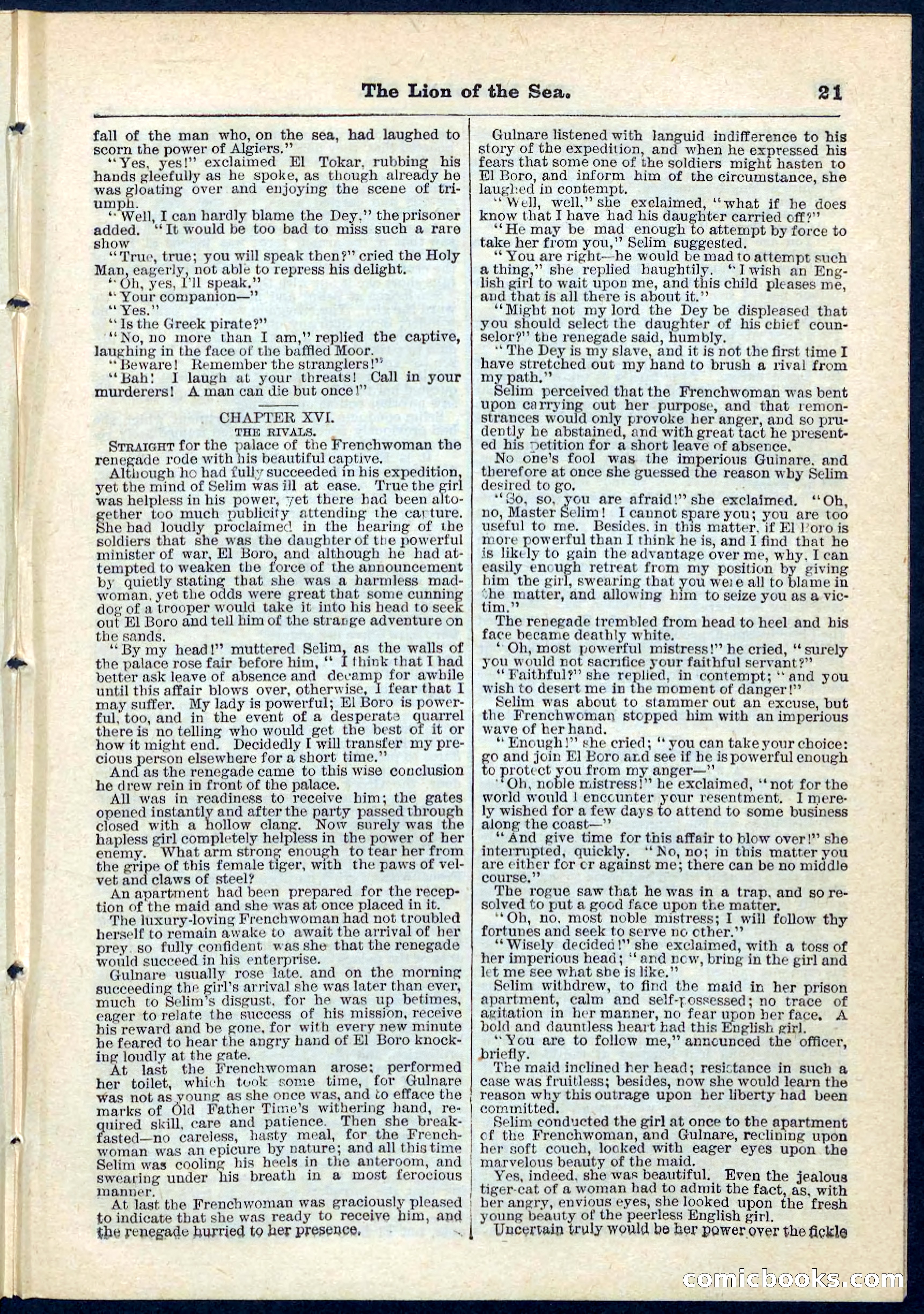 Beadle's Pocket Library No. 72 — page 21 of 32