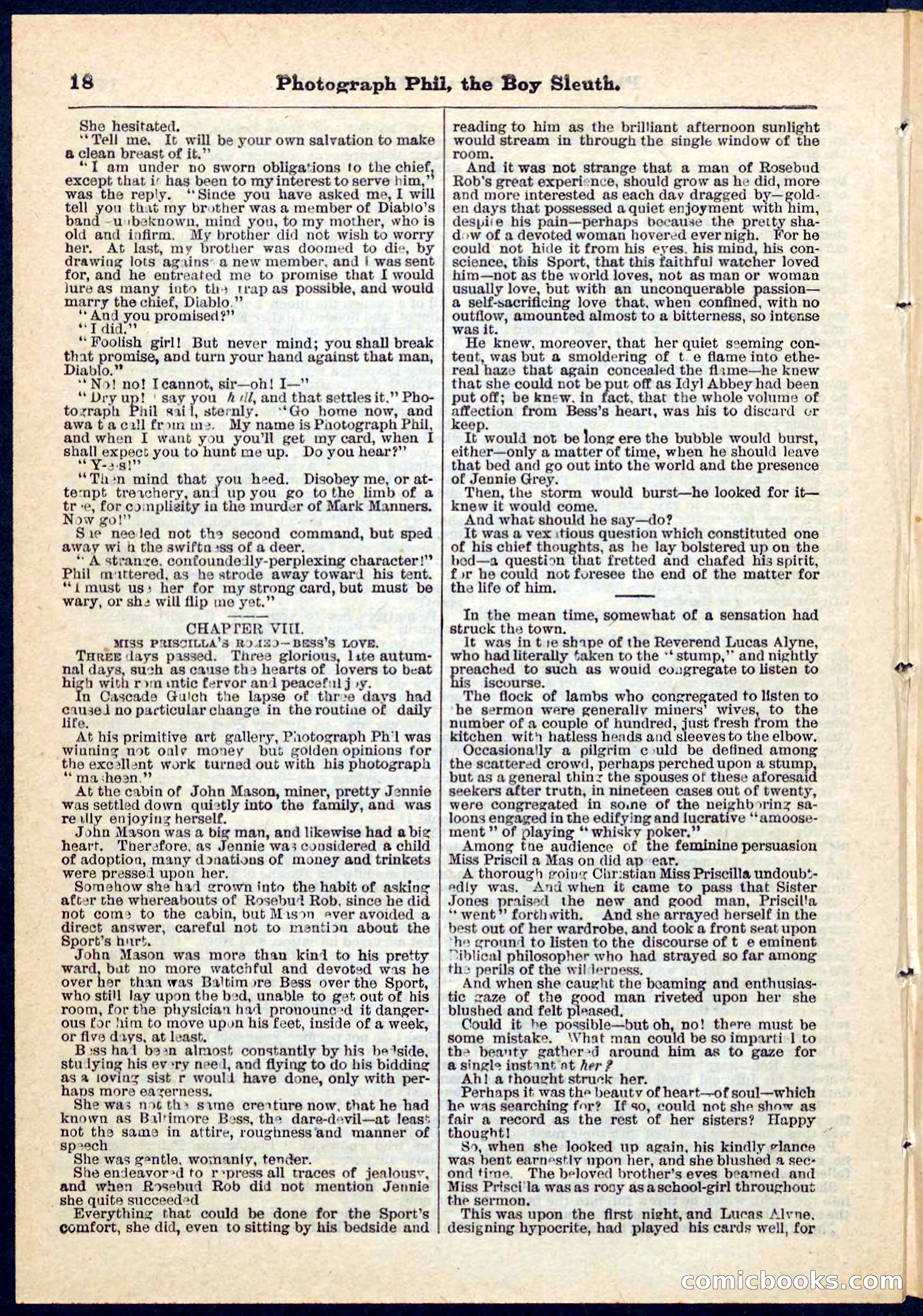 Beadle's Pocket Library No. 73 — page 18 of 32