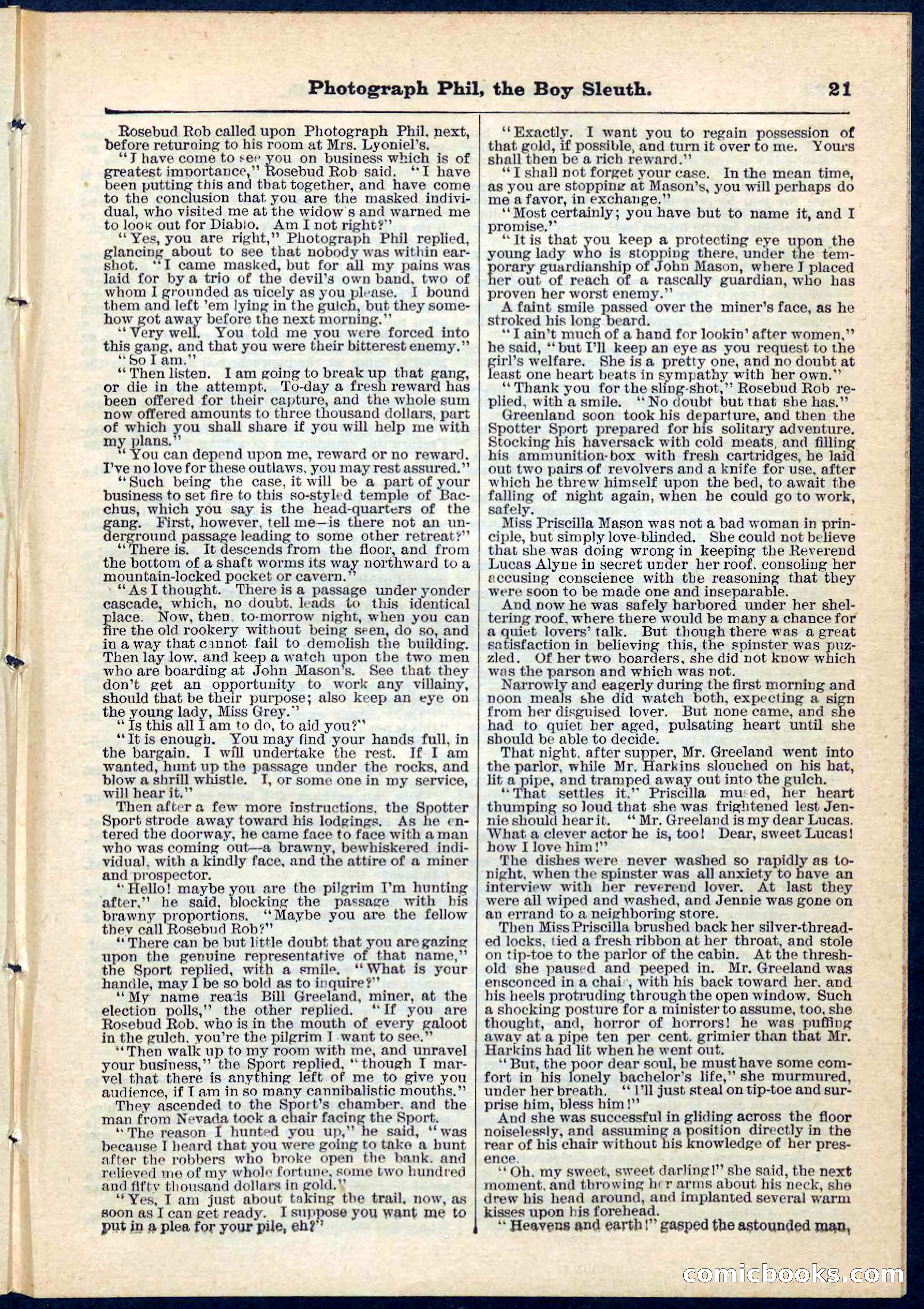 Beadle's Pocket Library No. 73 — page 21 of 32