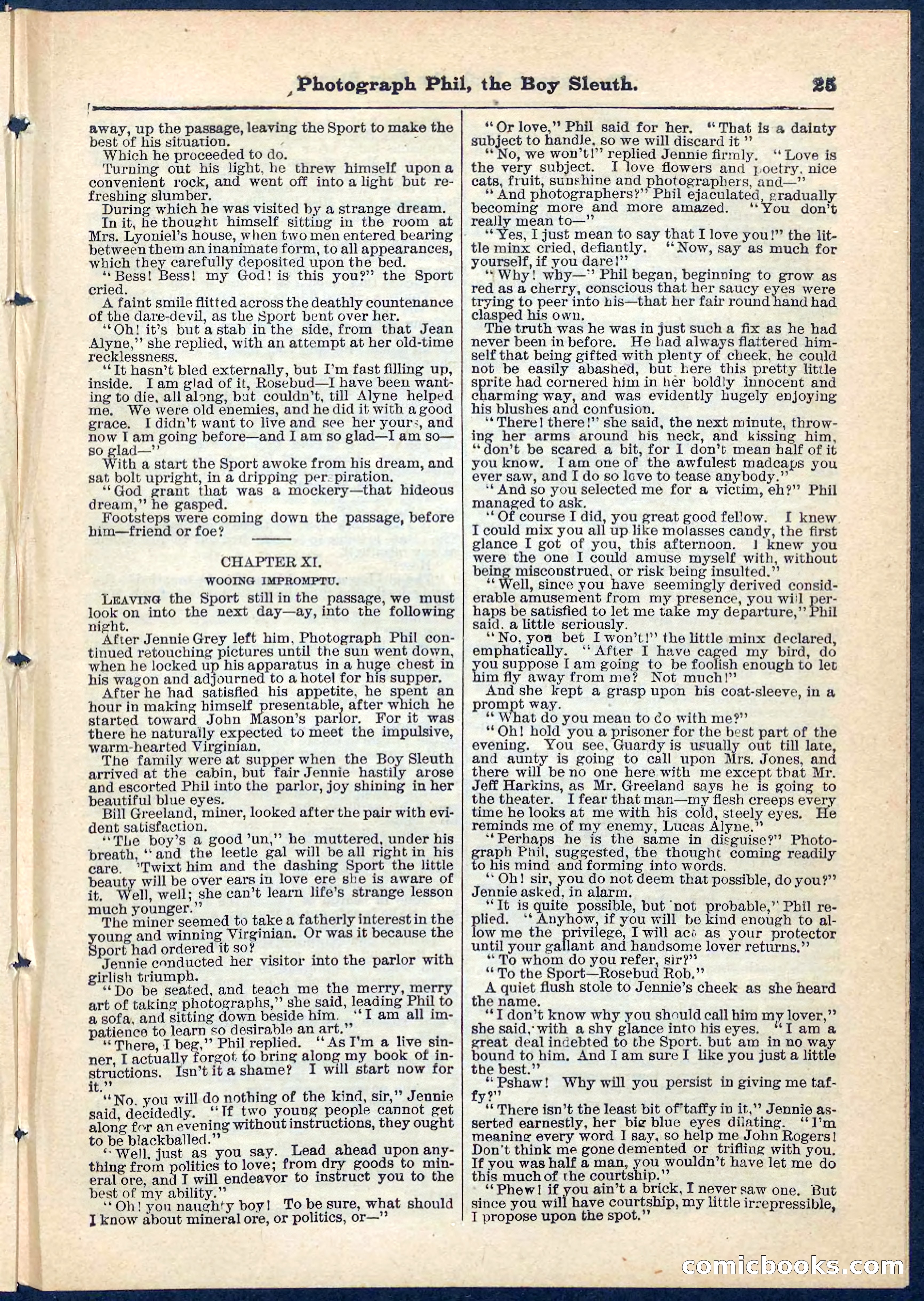 Beadle's Pocket Library No. 73 — page 25 of 32