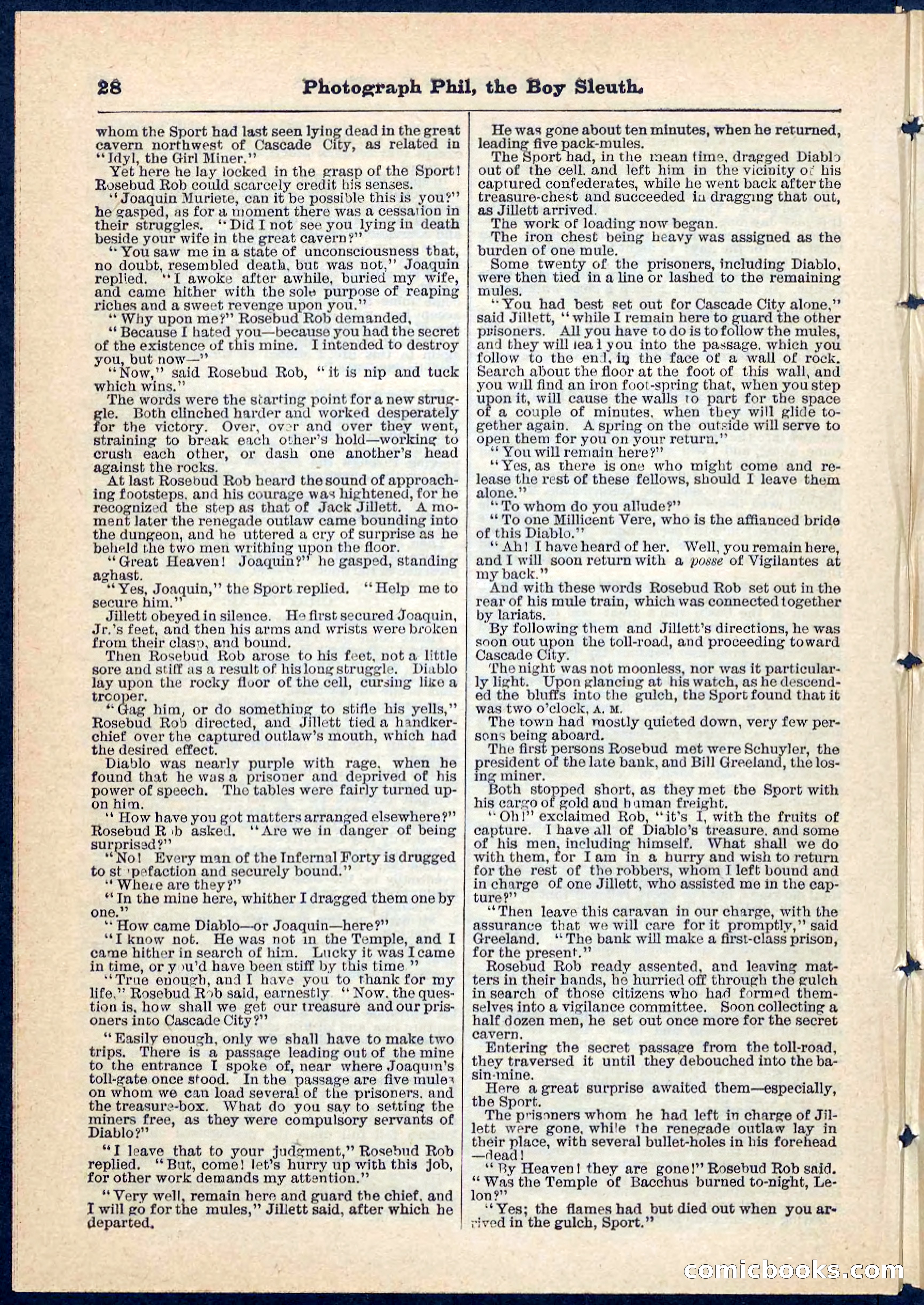 Beadle's Pocket Library No. 73 — page 28 of 32