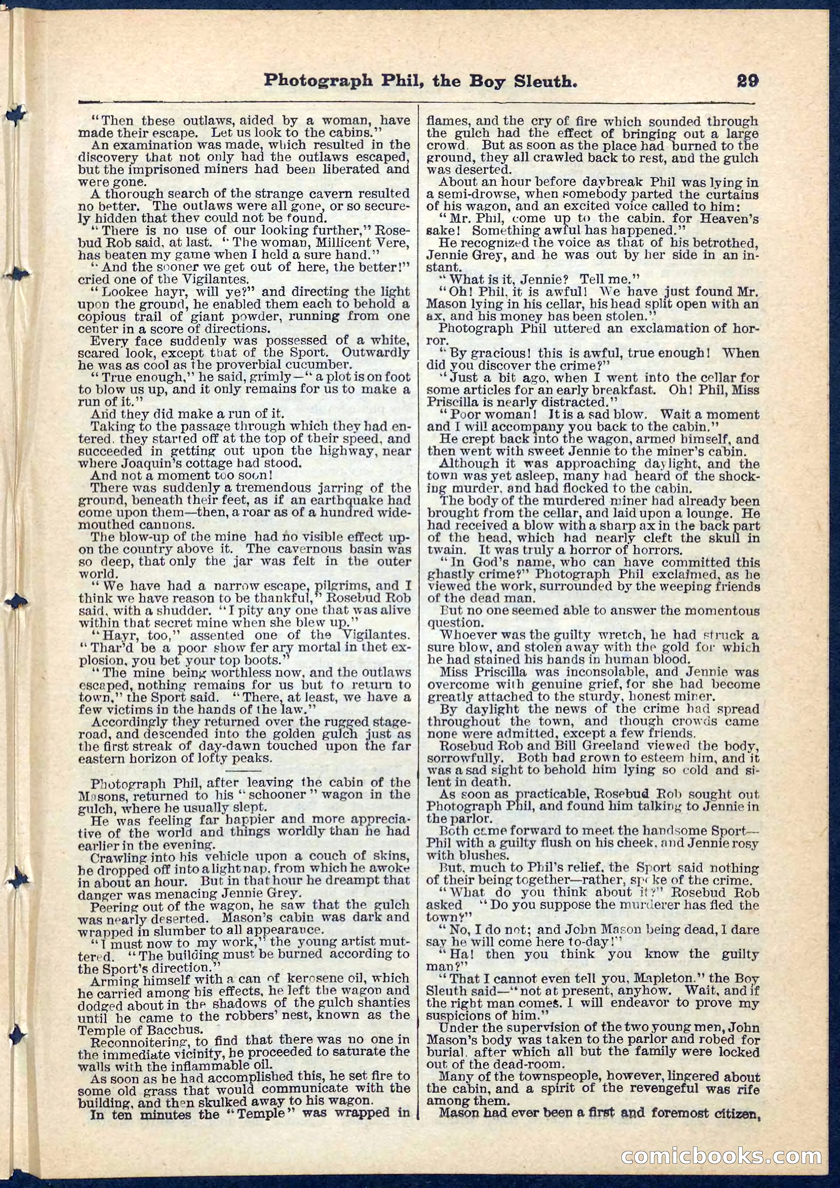 Beadle's Pocket Library No. 73 — page 29 of 32