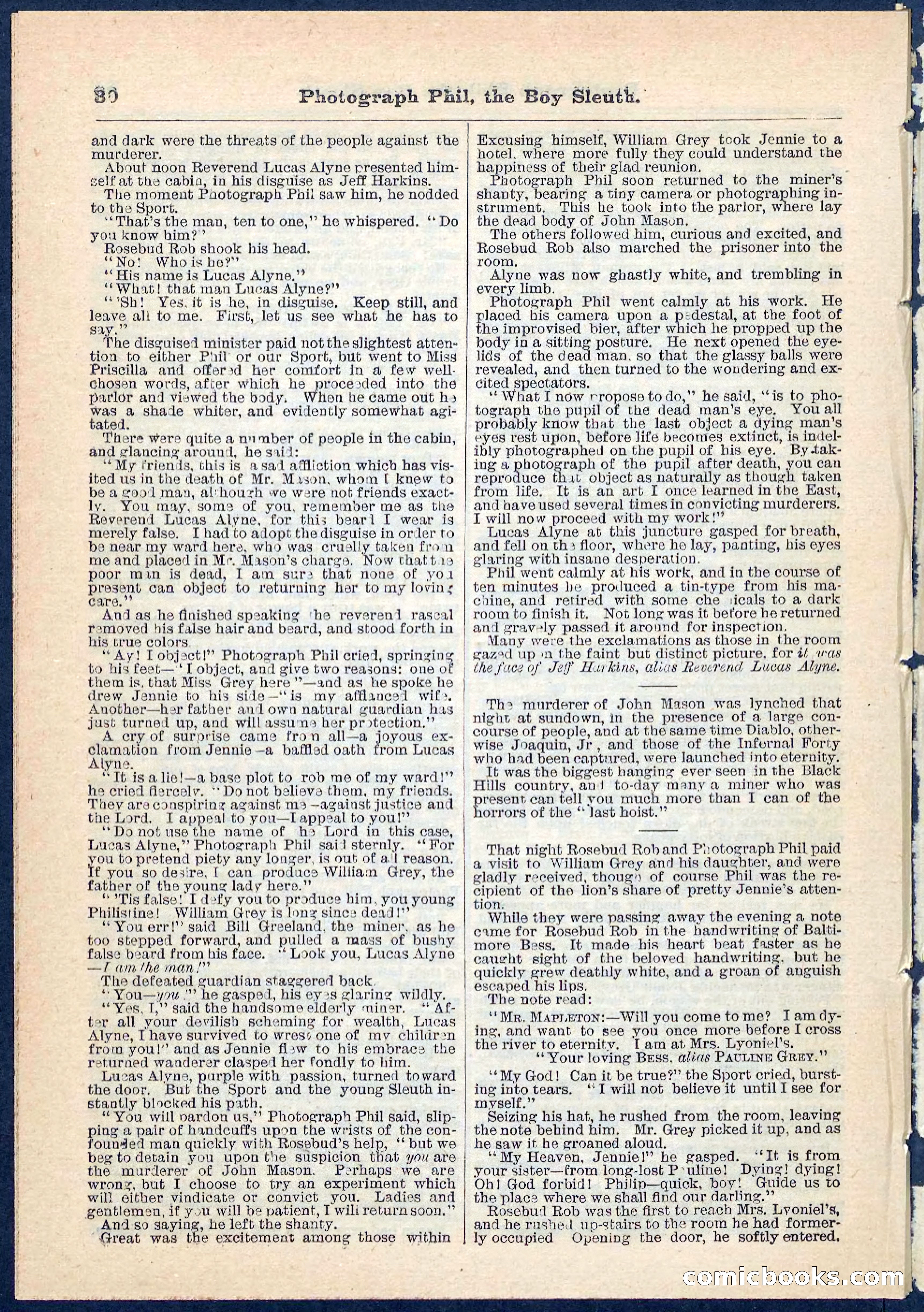 Beadle's Pocket Library No. 73 — page 30 of 32