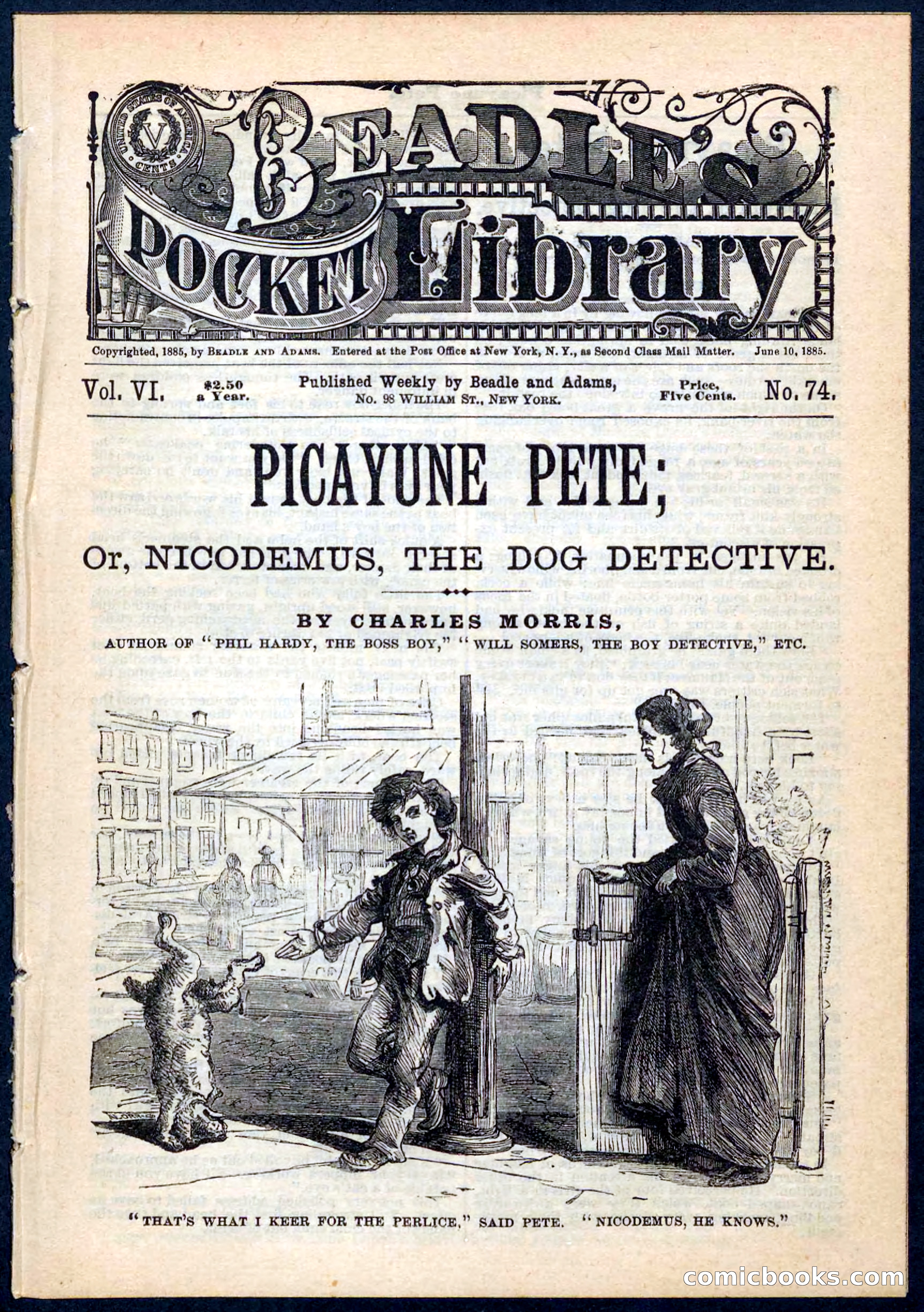 Beadle's Pocket Library No. 74 — page 1 of 32