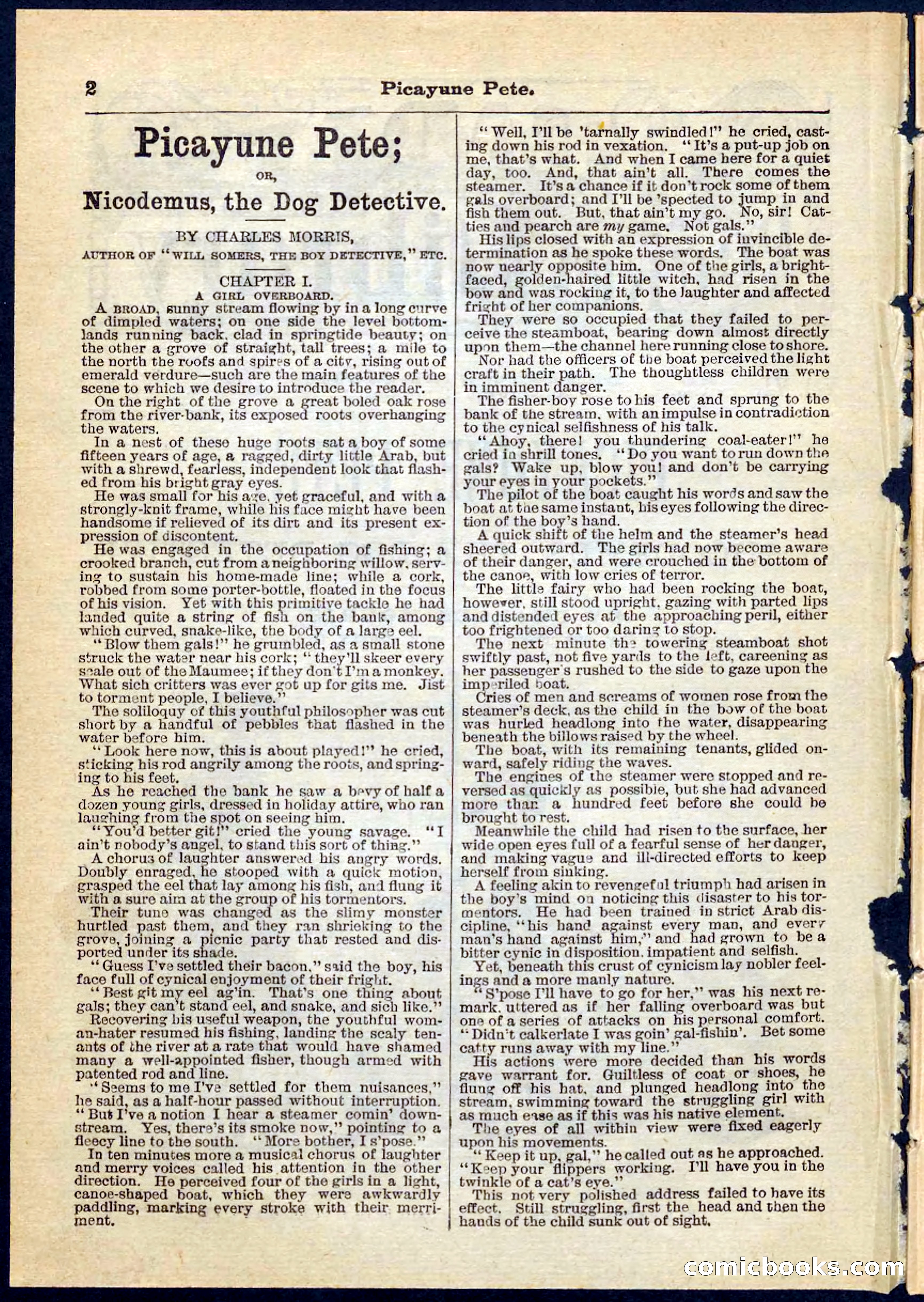 Beadle's Pocket Library No. 74 — page 2 of 32